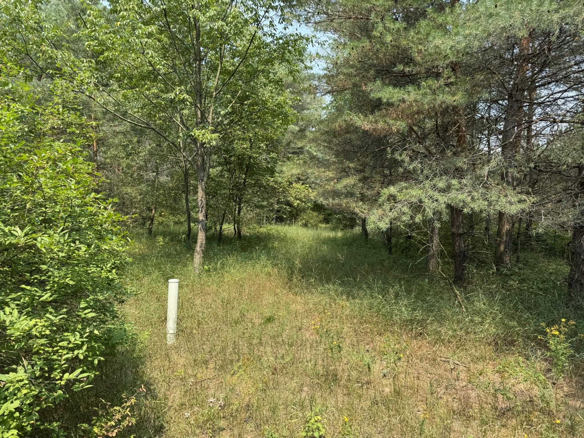 5th image of 8590 Homestead Rd, Benzonia, MI 49616 | MLS# 80072223