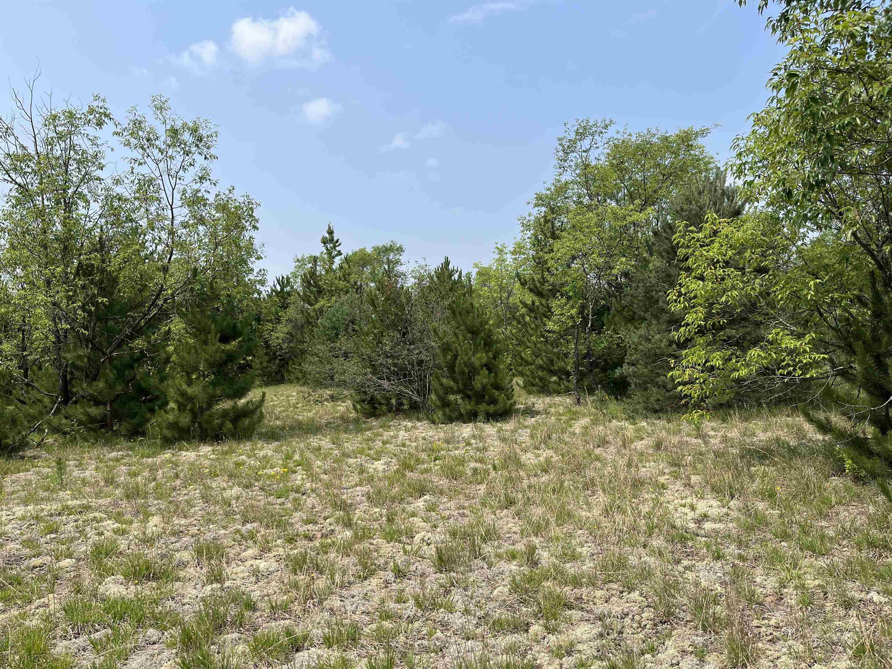1st image of S Westwood, Mancelona, MI 49659 | MLS# 80072226