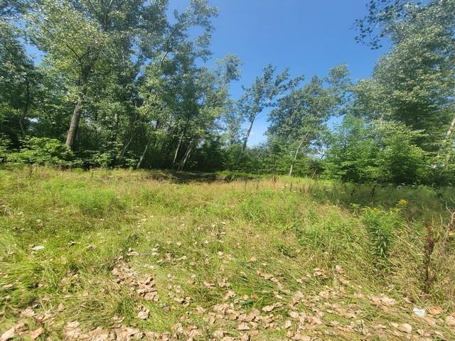 2nd image of 2615 Shaffer Rd, Turner, MI 48765 | MLS# 80072244