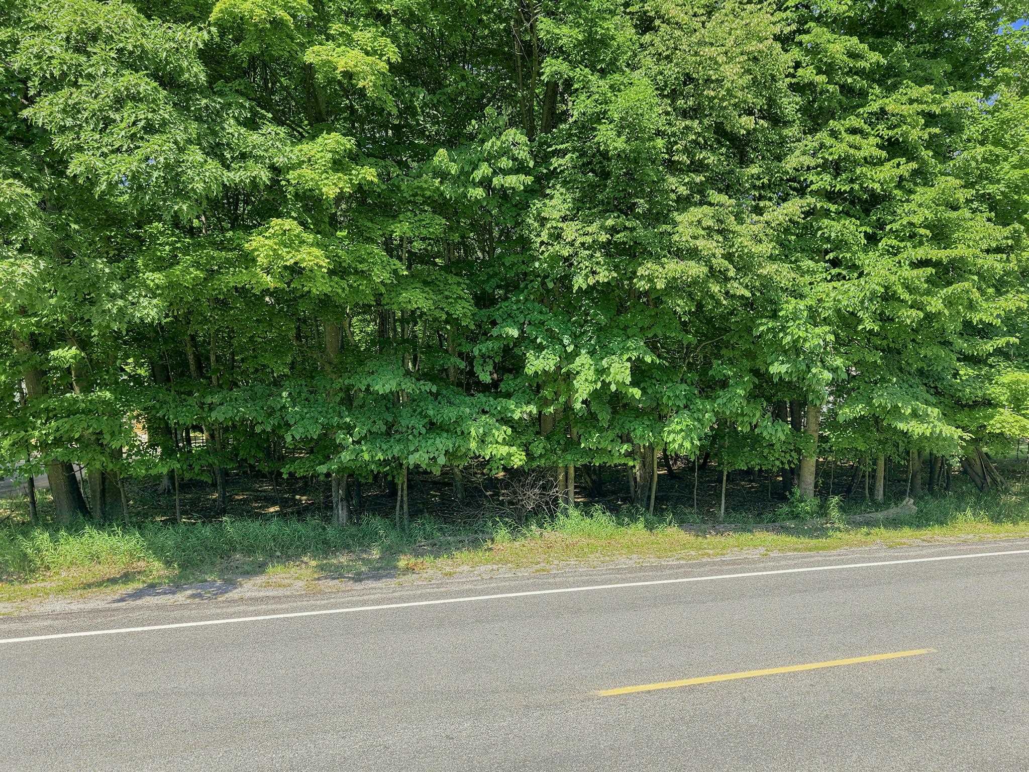 15th image of S Lacore Rd, Empire, MI 49630 | MLS# 80072252