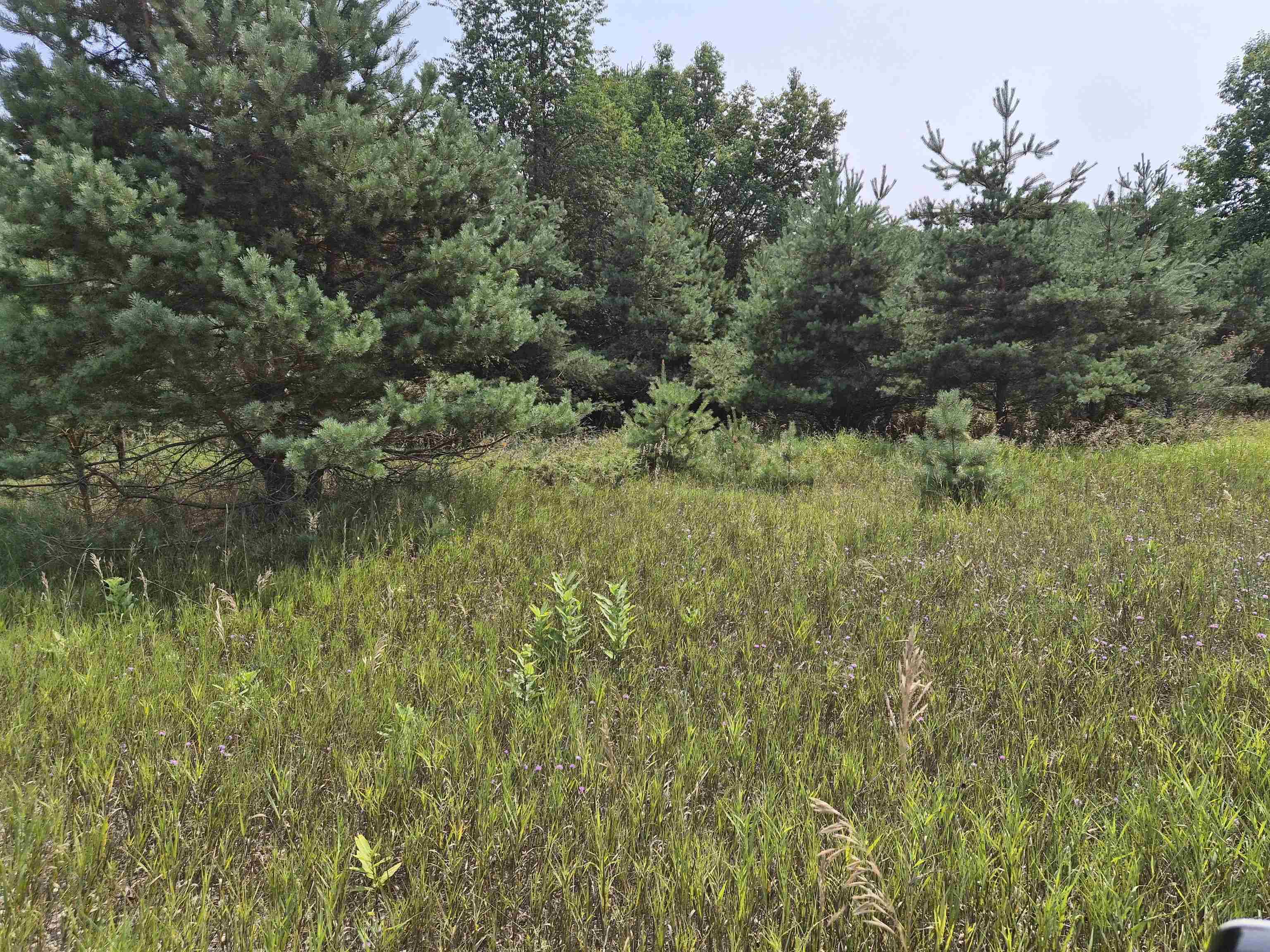 13th image of 10331 Mapleview Dr, Central Lake, MI 49622 | MLS# 80072253