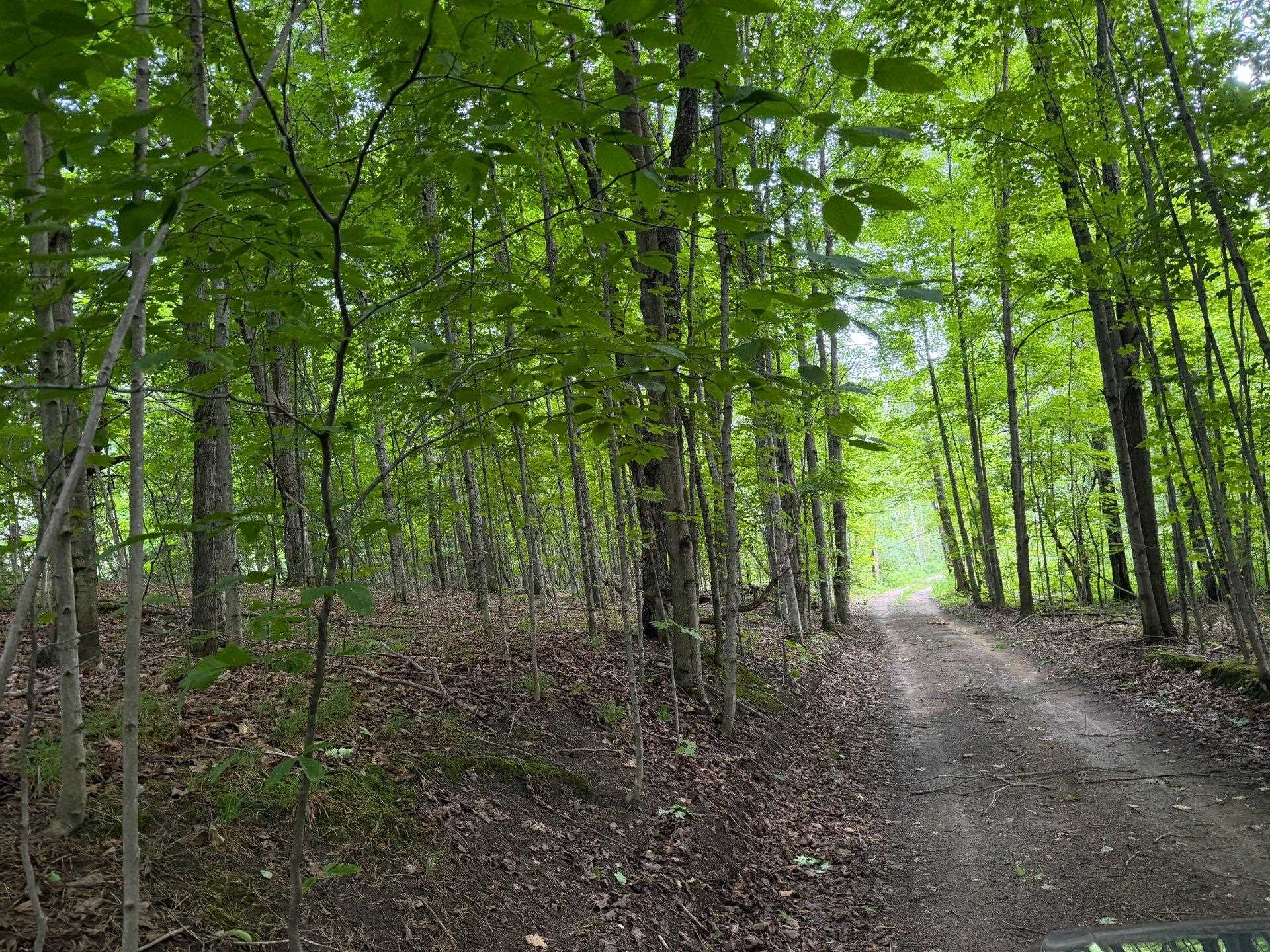 1st image of 1100 Wangeman Rd, East Jordan, MI 49727 | MLS# 80072326