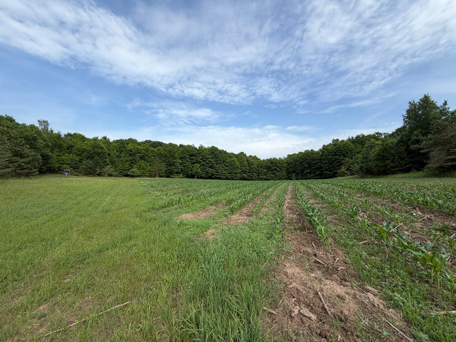 2nd image of 1100 Wangeman Rd, East Jordan, MI 49727 | MLS# 80072326