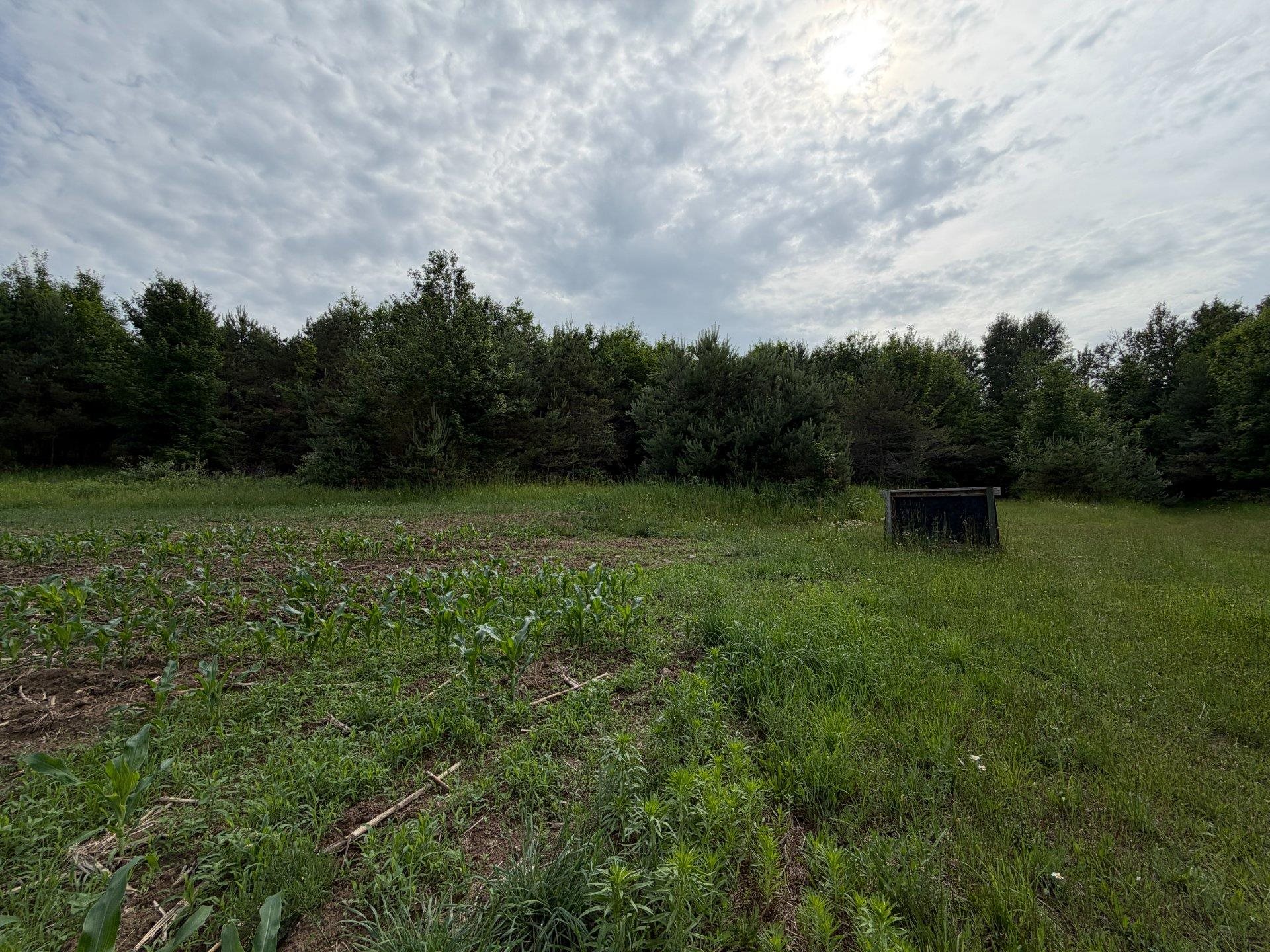 4th image of 1100 Wangeman Rd, East Jordan, MI 49727 | MLS# 80072326