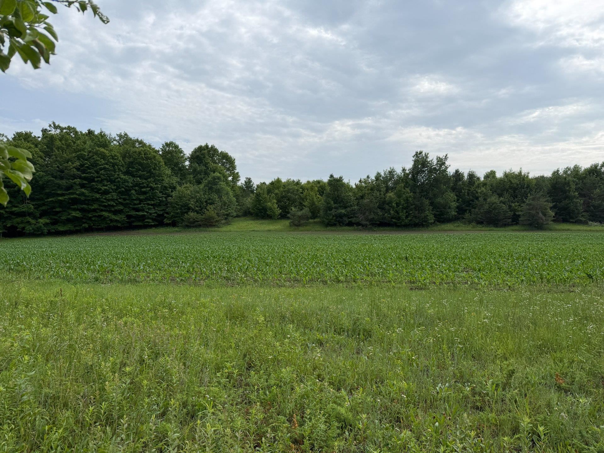 5th image of 1100 Wangeman Rd, East Jordan, MI 49727 | MLS# 80072326
