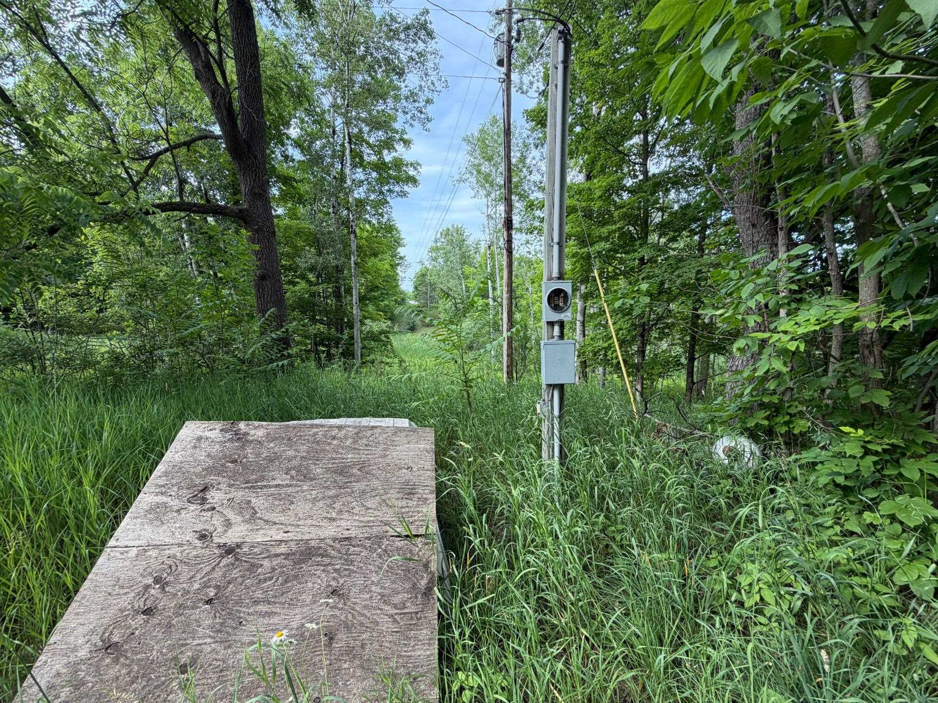 5th image of Tbd Wangeman Rd, East Jordan, MI 49727 | MLS# 80072327