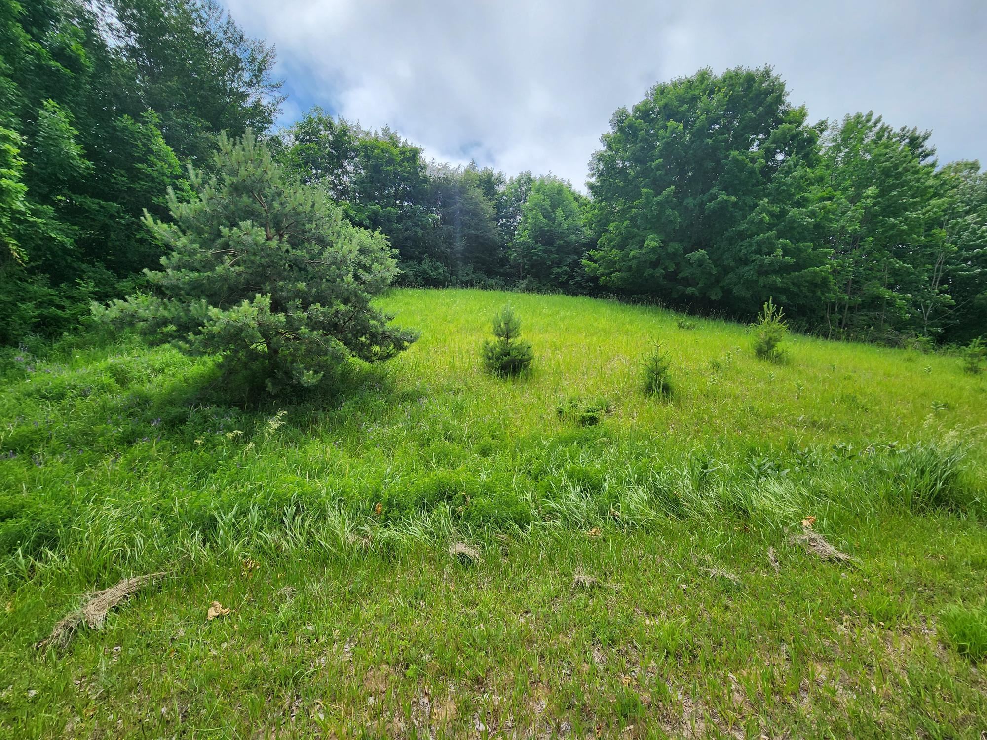 1st image of 000 Deer Ridge Trl, Beulah, MI 49617 | MLS# 80072328