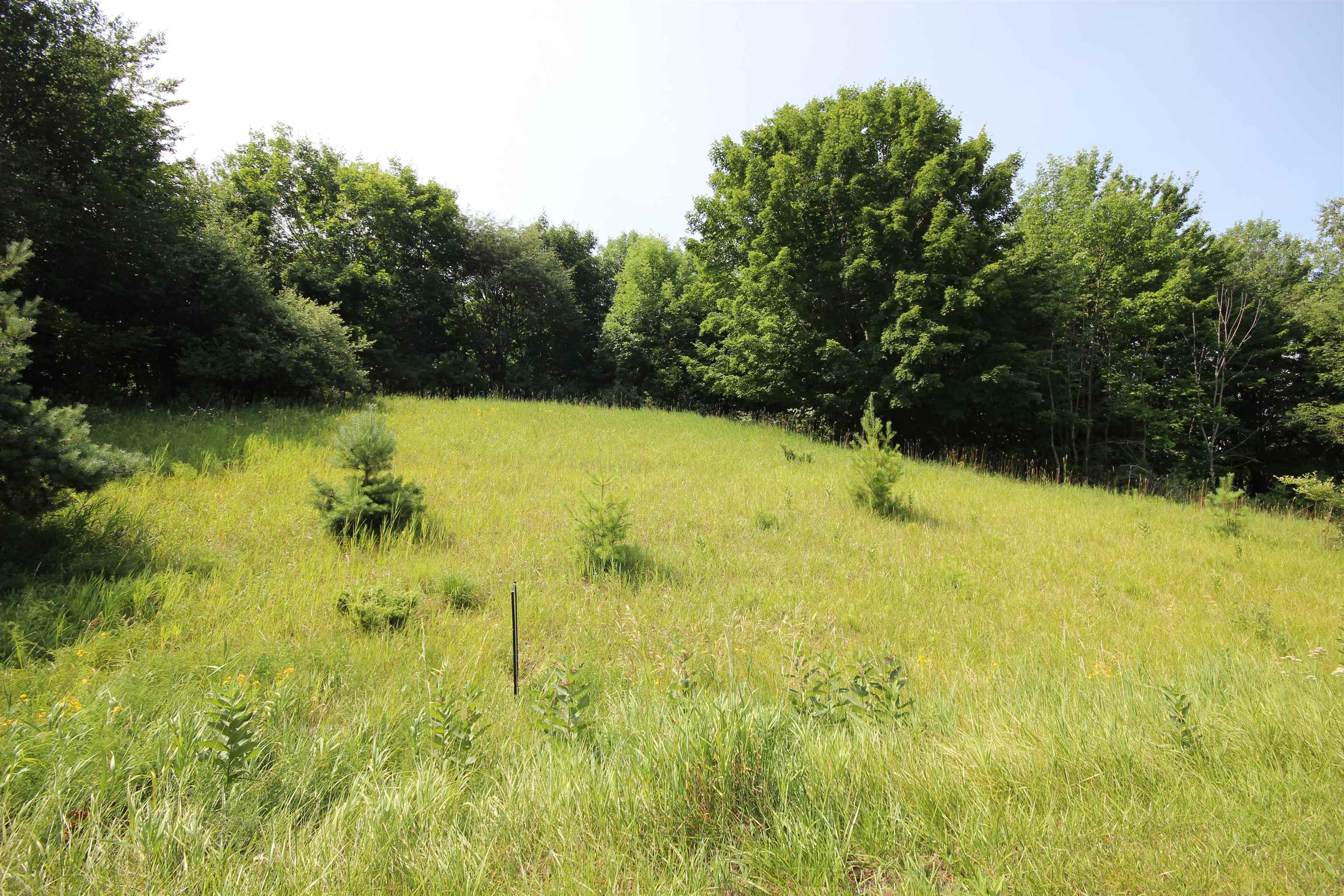 2nd image of 000 Deer Ridge Trl, Beulah, MI 49617 | MLS# 80072328