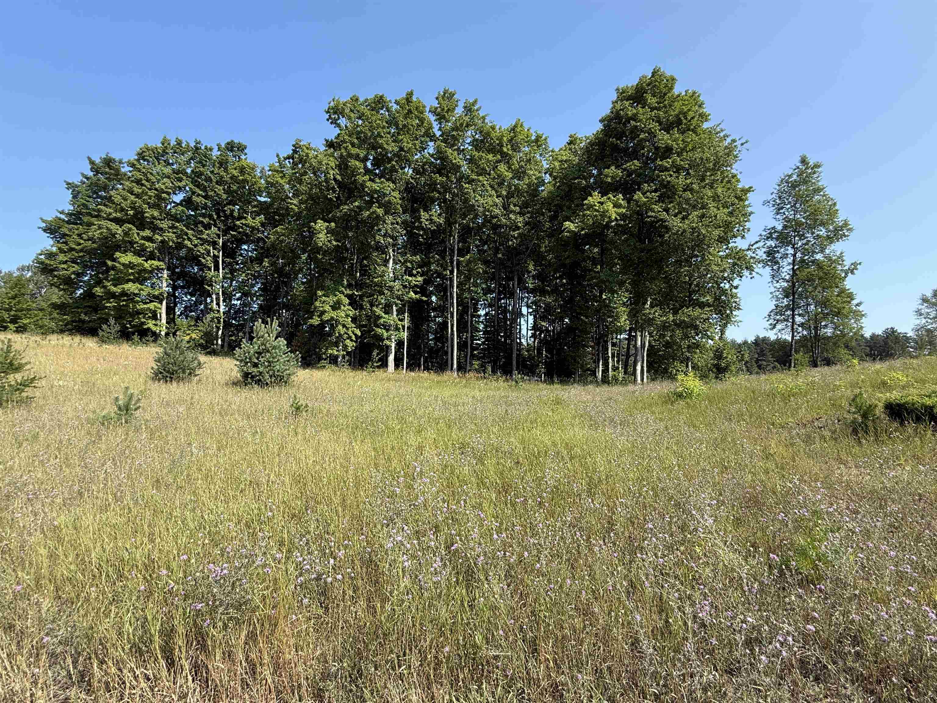 3rd image of Parcel A 6 S Bright Rd, Maple City, MI 49664 | MLS# 78080072352