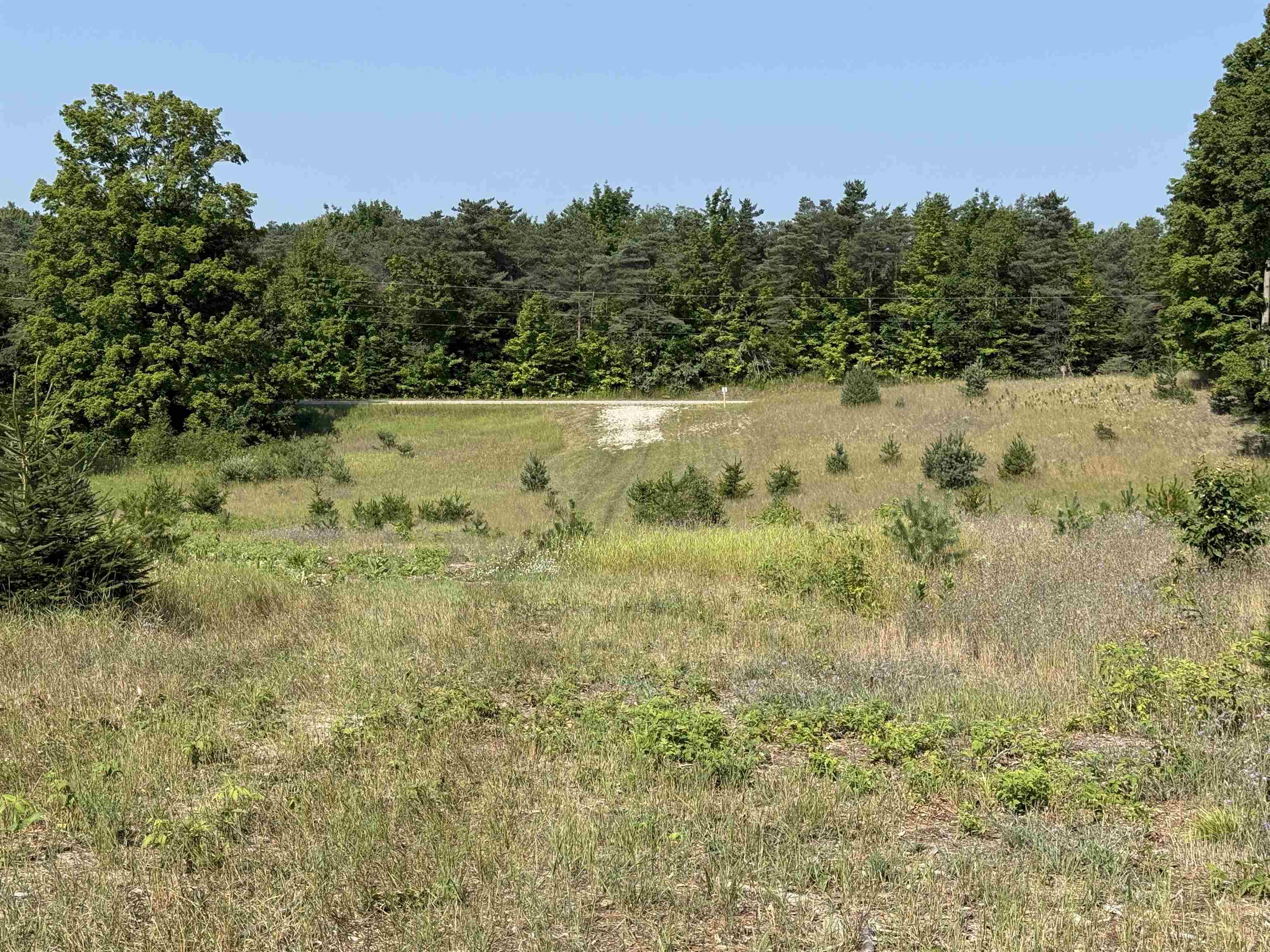 4th image of Parcel A 6 S Bright Rd, Maple City, MI 49664 | MLS# 78080072352