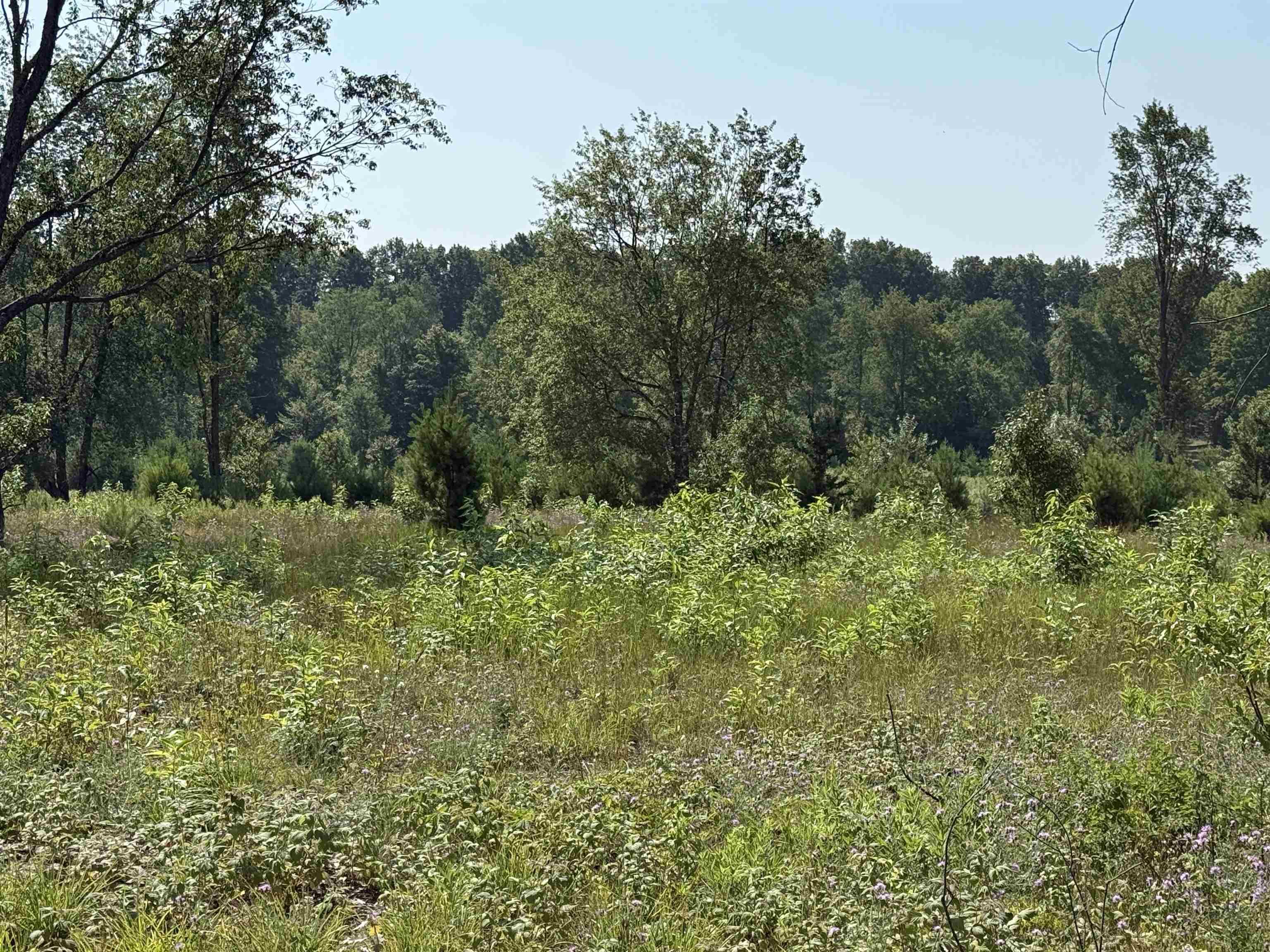 2nd image of Parcel A 8 S Bright Rd, Maple City, MI 49664 | MLS# 80072355