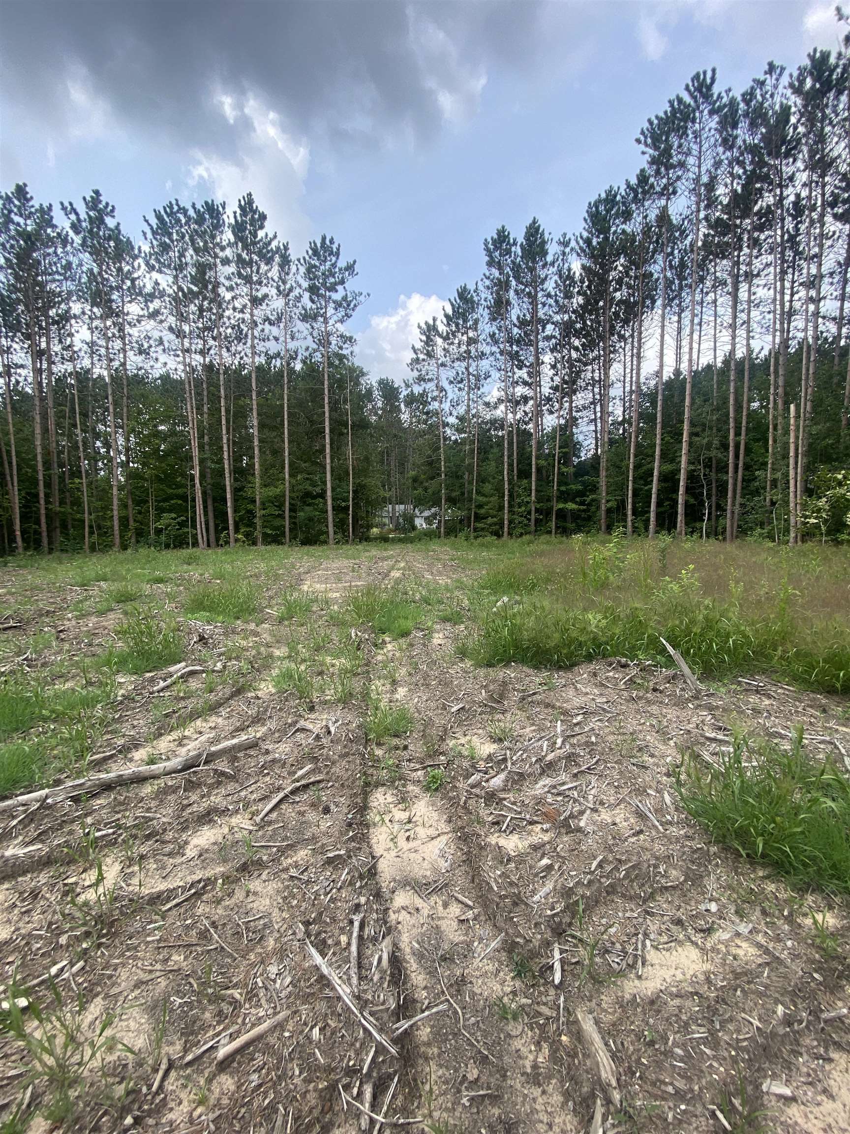 10th image of 413 Maplebrooke Ln, Cadillac, MI 49601 | MLS# 80072385