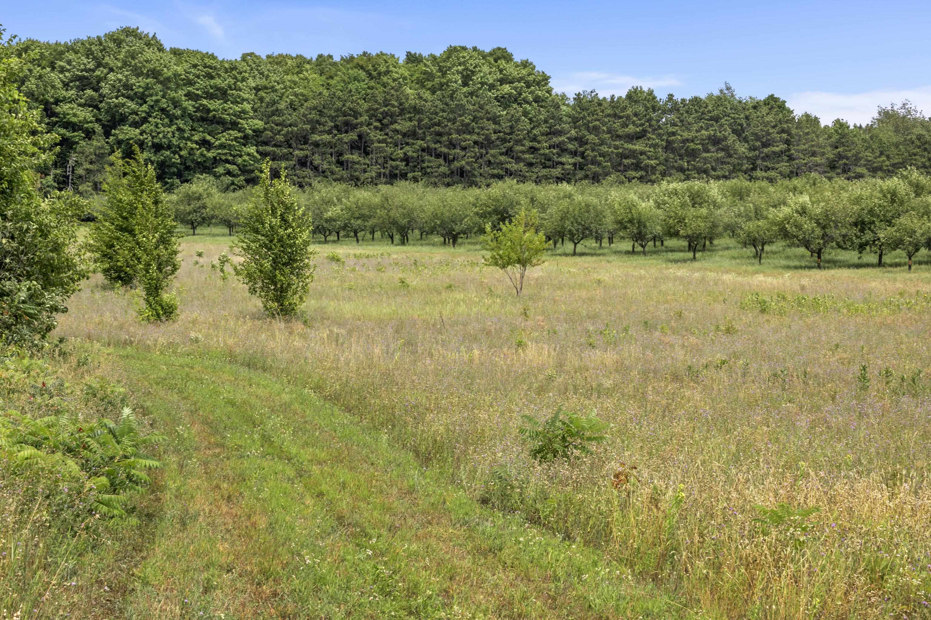 5th image of 12540 S Benzonia Trl, Empire, MI 49630 | MLS# 80072387