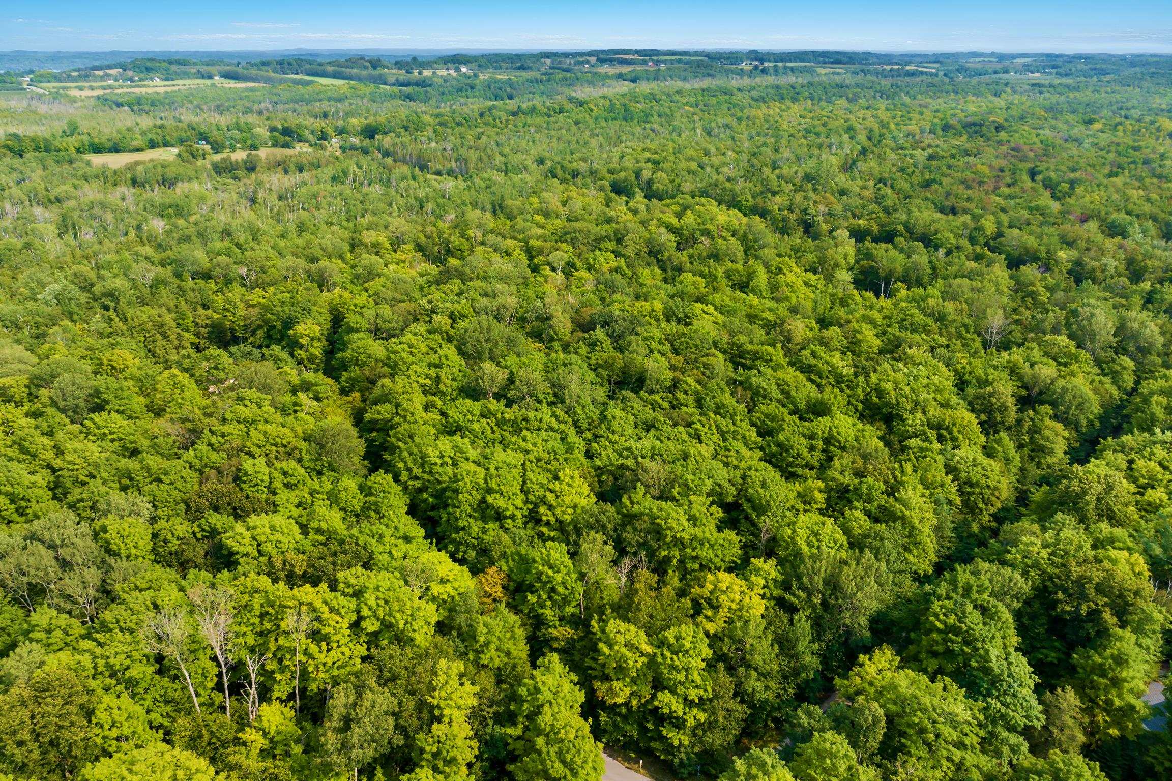 18th image of #9 Aspen Trl, Kewadin, MI 49648 | MLS# 80072437