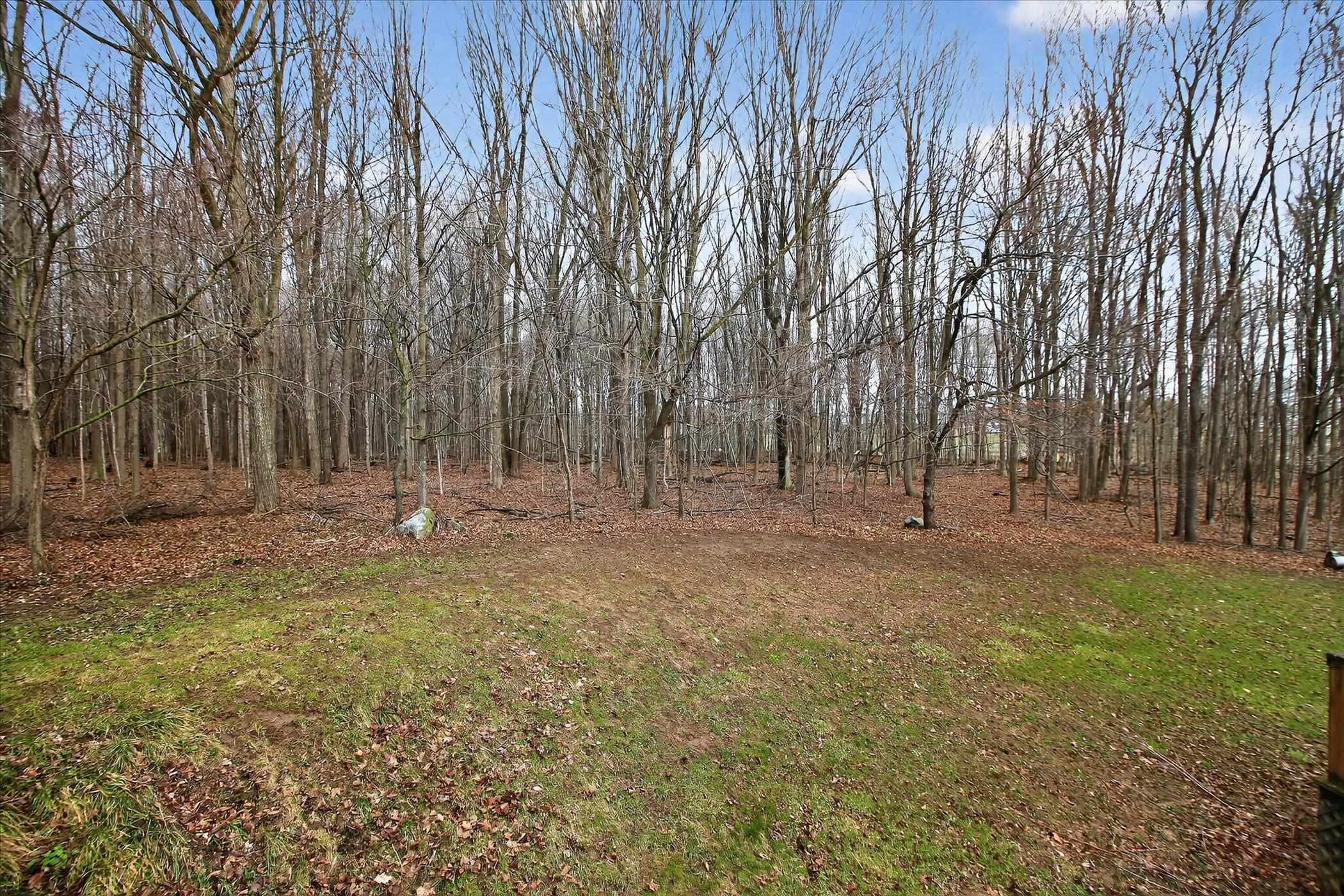 43rd image of 5383 N Rich Rd, Alma, MI 48801 | MLS# 80072497