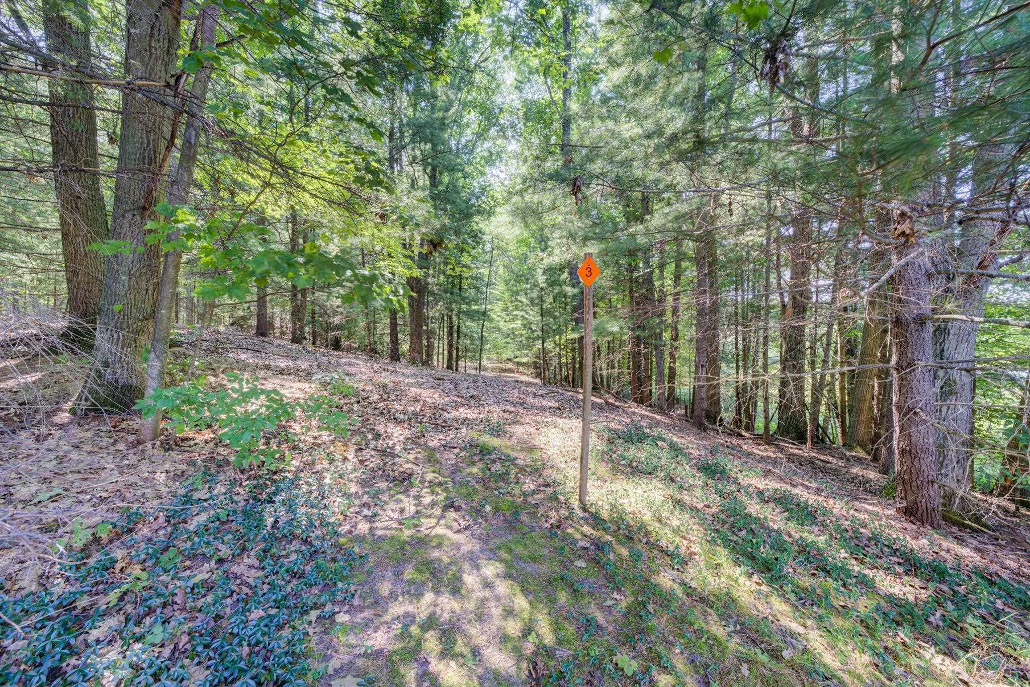 65th image of 15495 E Pettengill Rd, Empire, MI 49630 | MLS# 78080072535