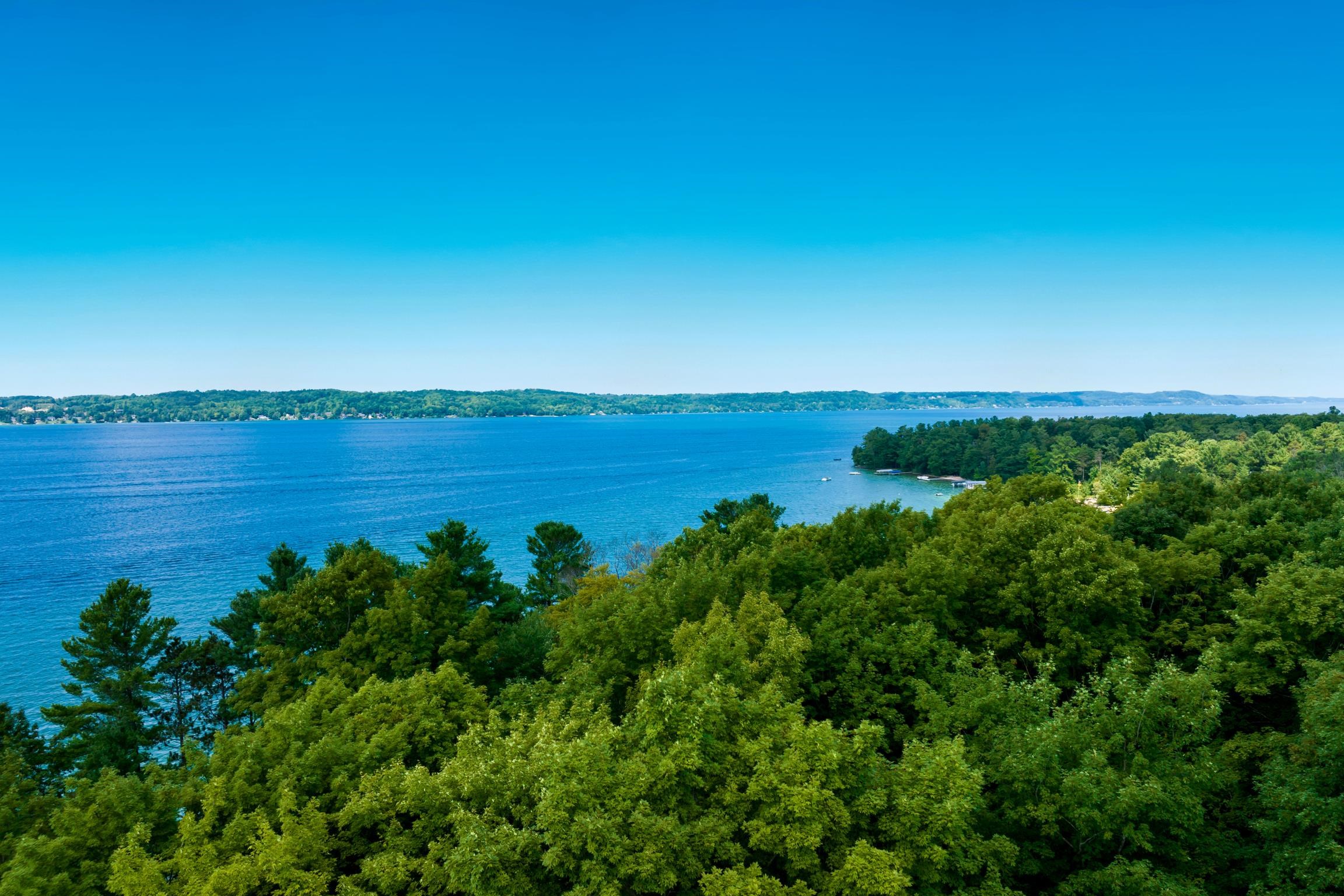 59th image of 7356 Se Torch Lake Dr, Alden, MI 49612 | MLS# 78080072594