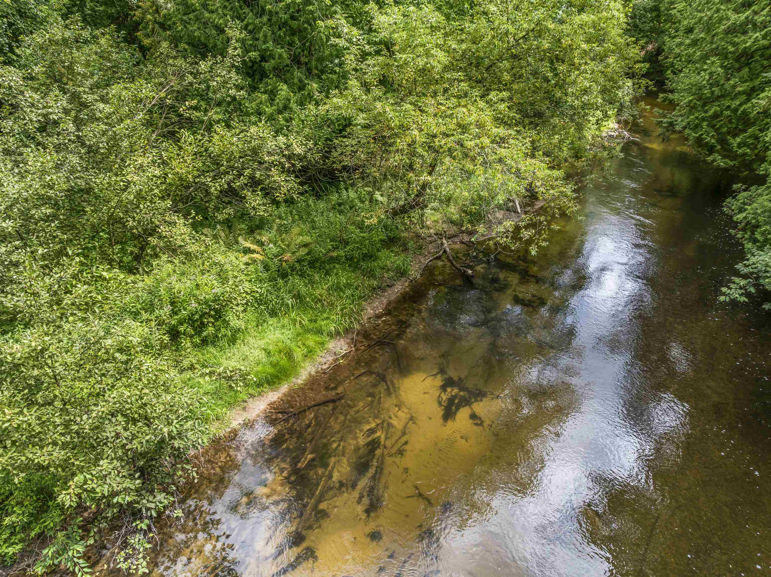 2nd image of 0 Red Barn Dr, Thompsonville, MI 49683 | MLS# 80072597