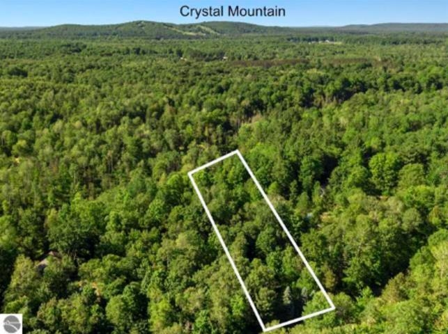 3rd image of 15330 Roaring Brk, Thompsonville, MI 49683 | MLS# 80072604