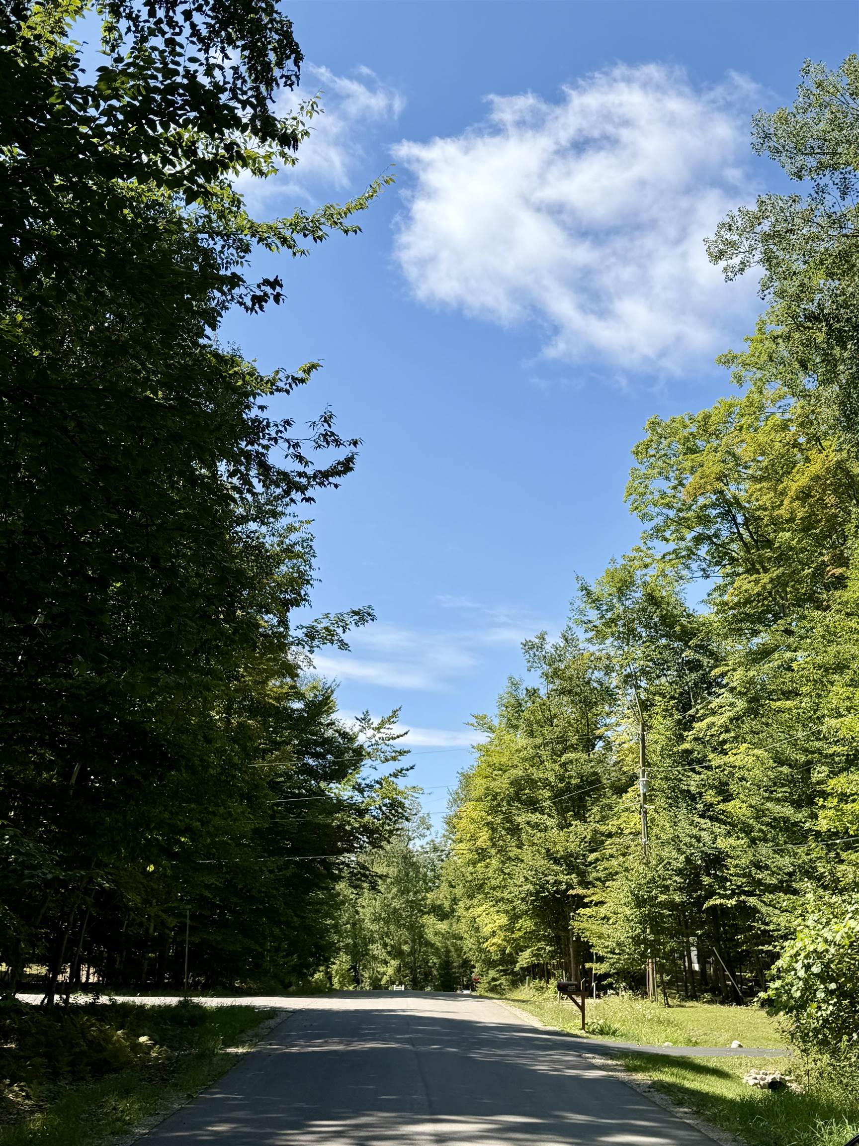 2nd image of 00 Shawnee Trl, Torch Lake Township Antrim, MI 49648 | MLS# 78080072764
