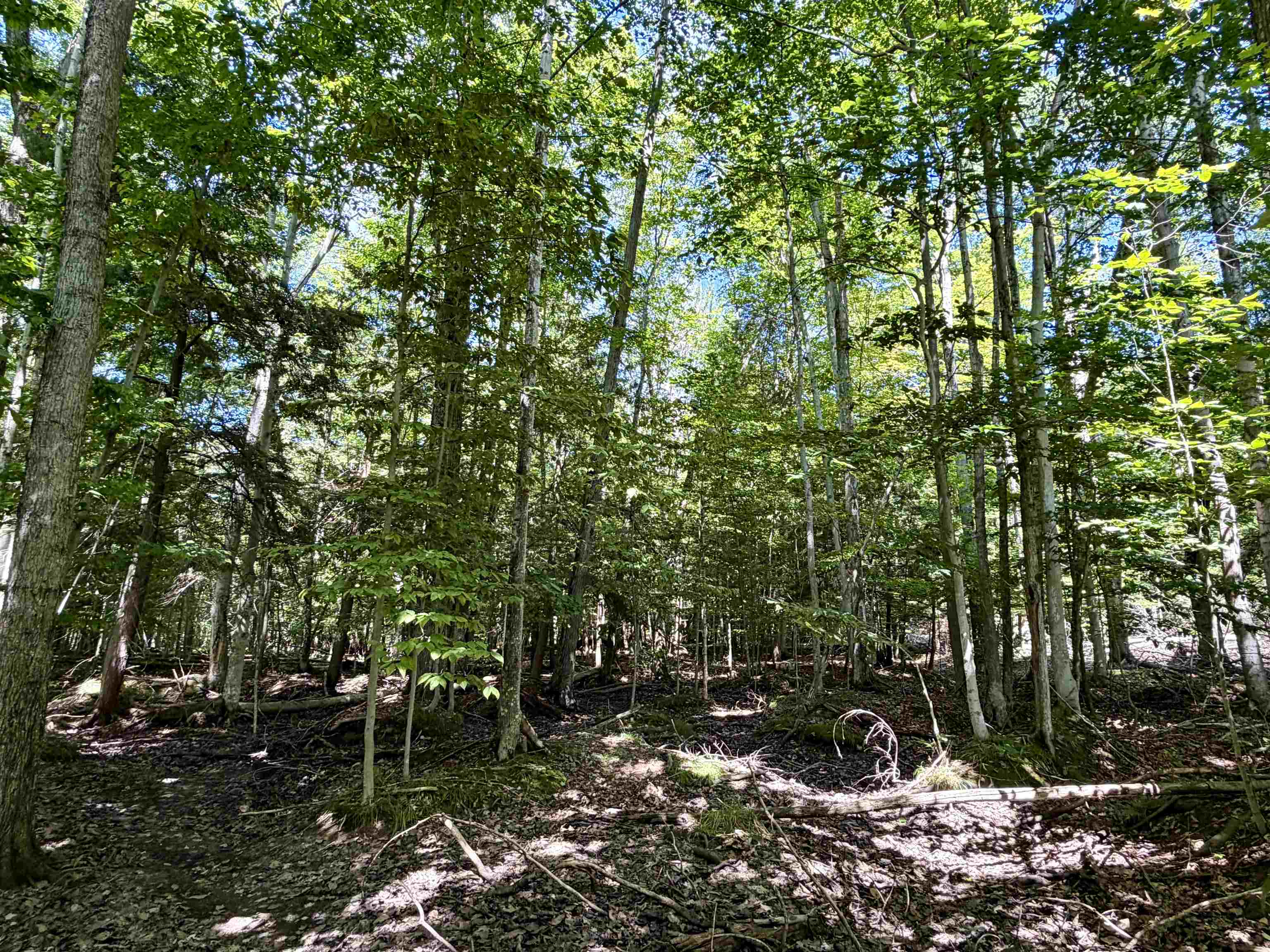 3rd image of 00 Shawnee Trl, Kewadin, MI 49648 | MLS# 80072764