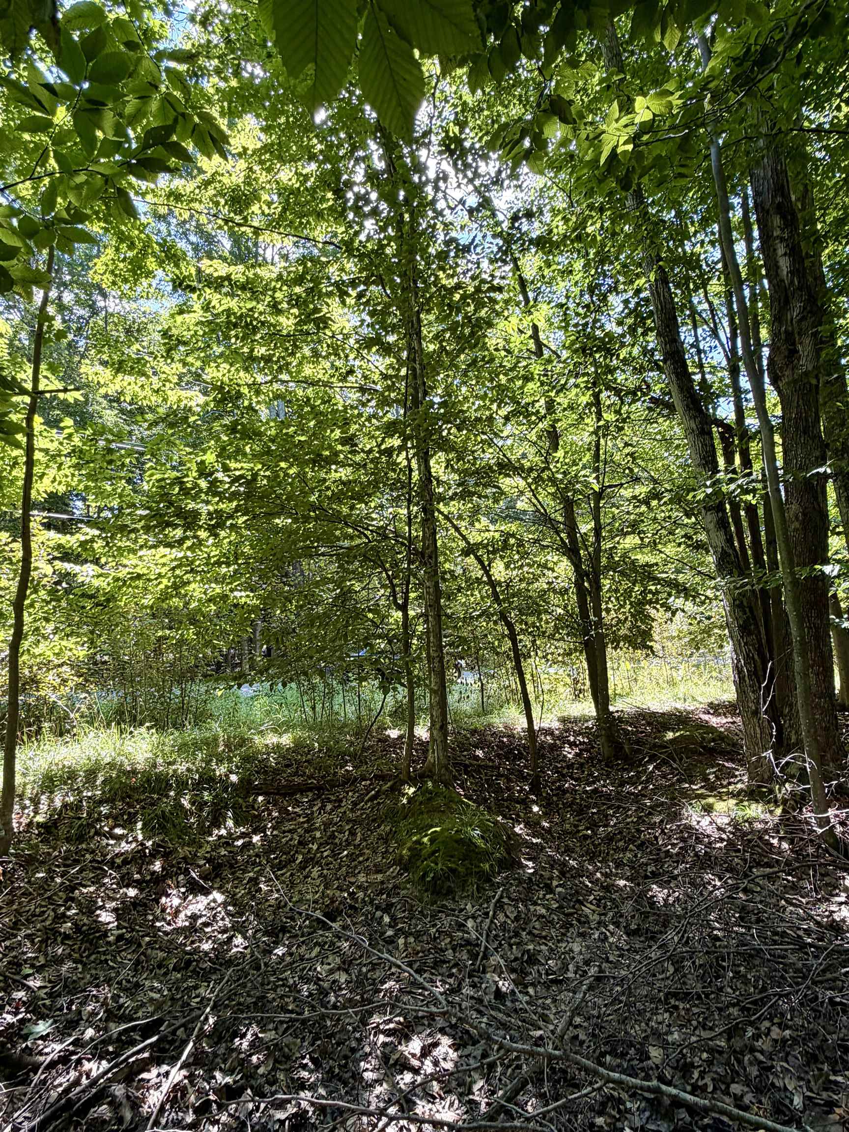 4th image of 00 Shawnee Trl, Kewadin, MI 49648 | MLS# 80072764