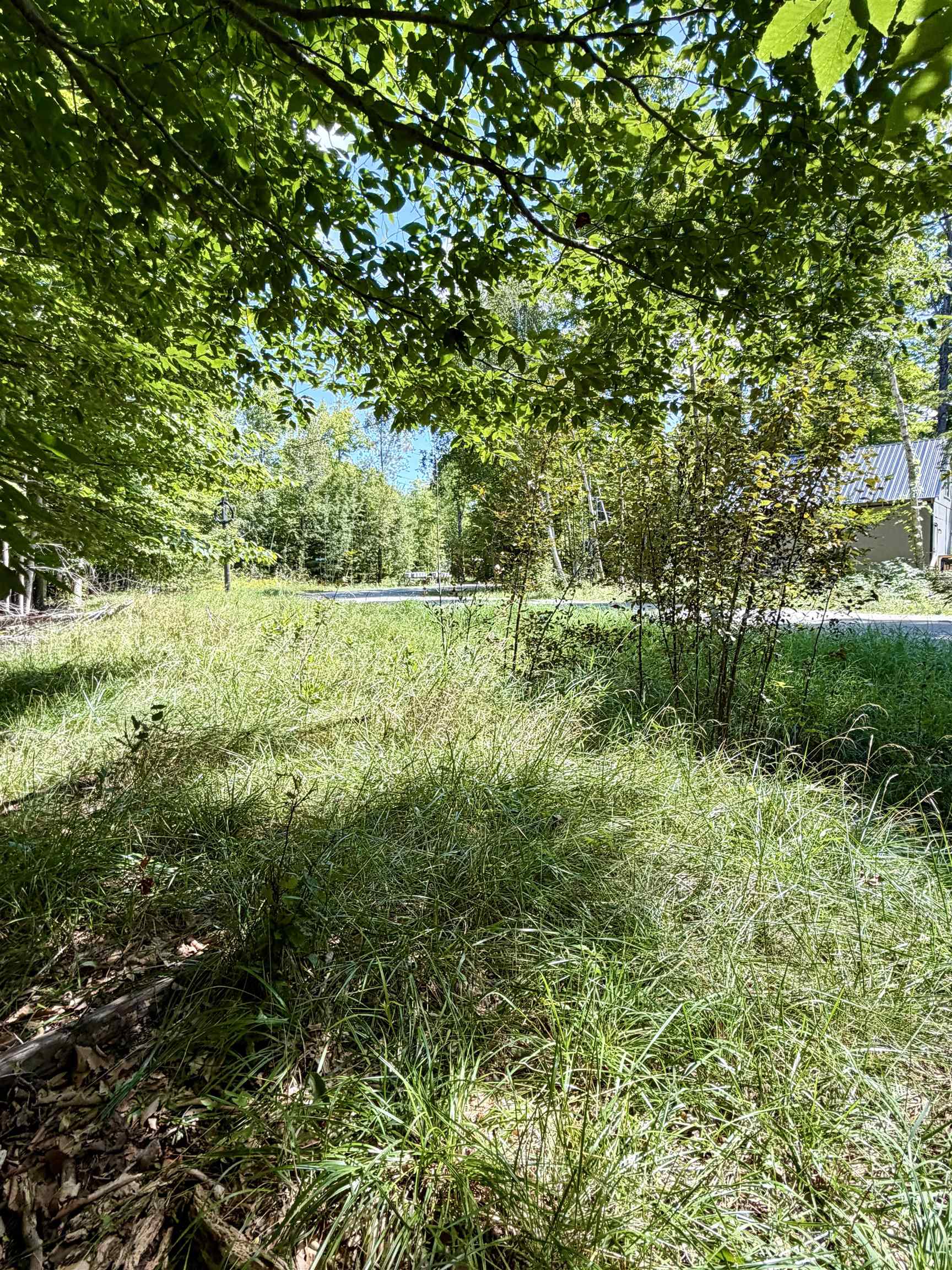 5th image of 00 Shawnee Trl, Kewadin, MI 49648 | MLS# 80072764