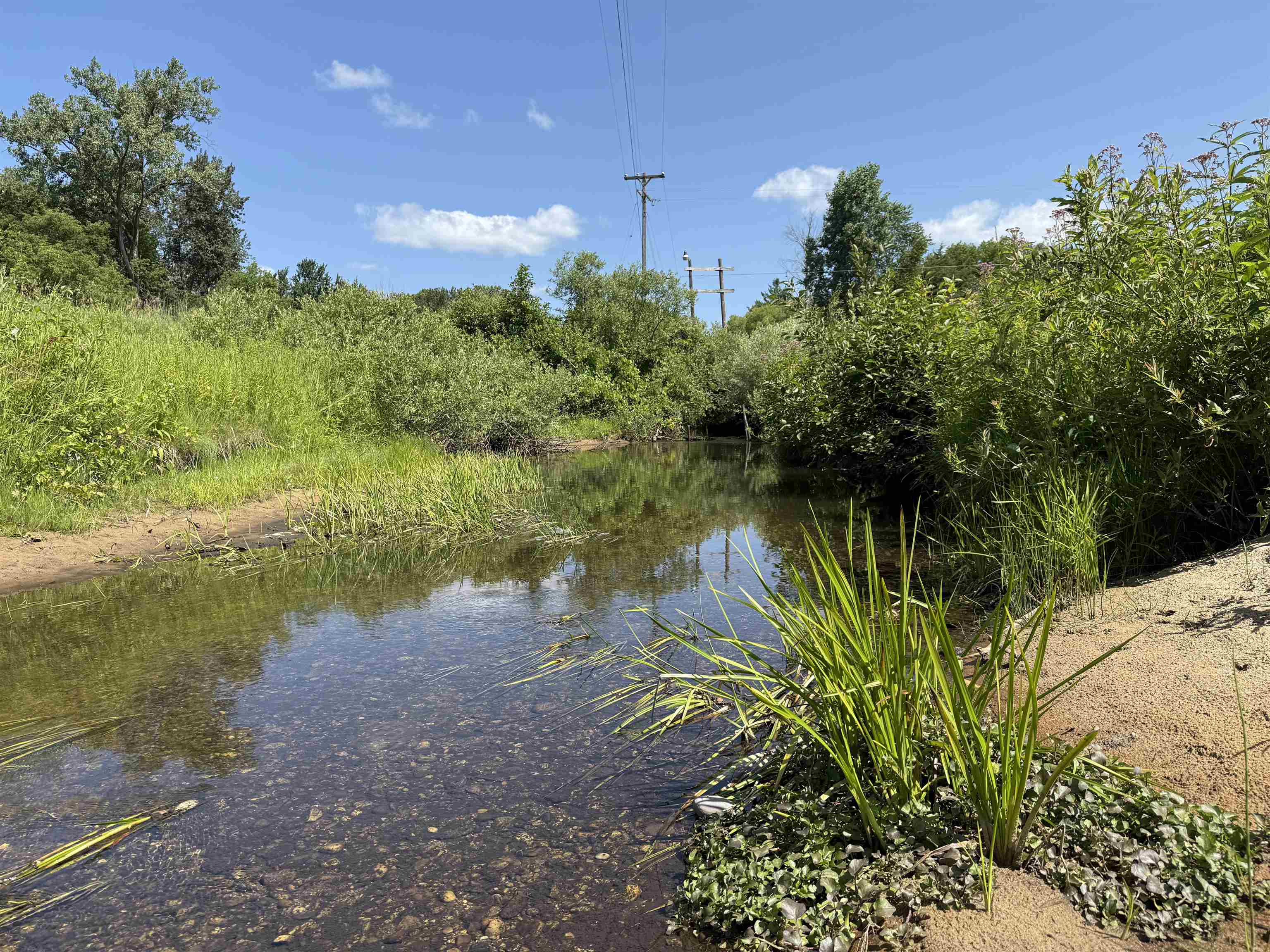 3rd image of 0 South St, Plainfield Township Iosco, MI 48739 | MLS# 77080072797