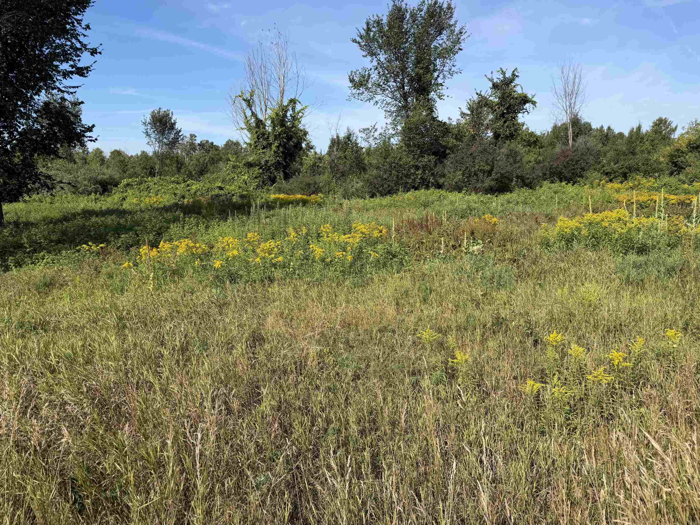 3rd image of C S M-88, Bellaire, MI 49615 | MLS# 80072813