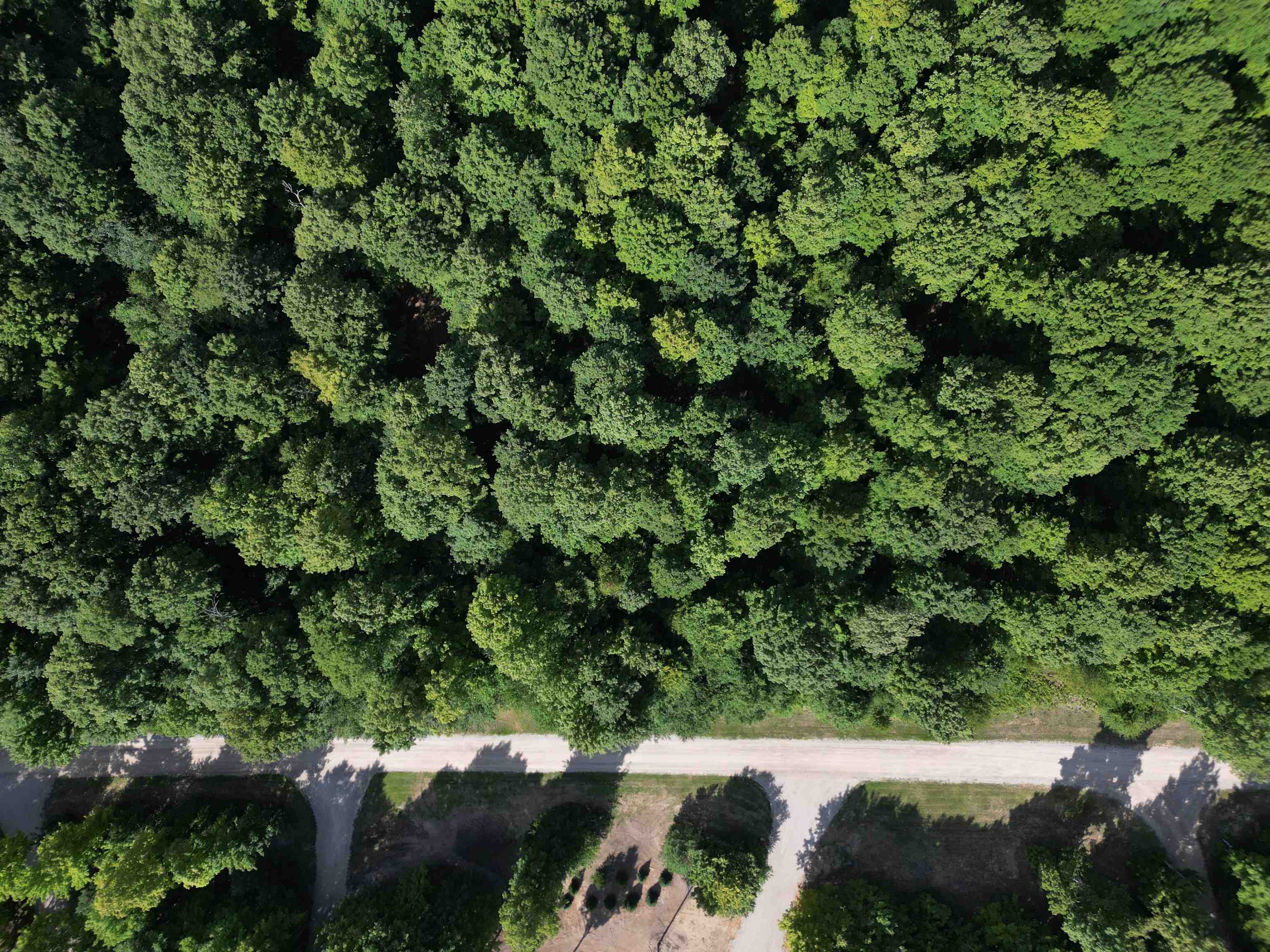 2nd image of 0000 S Honeybee Rd, Empire, MI 49621 | MLS# 80072818