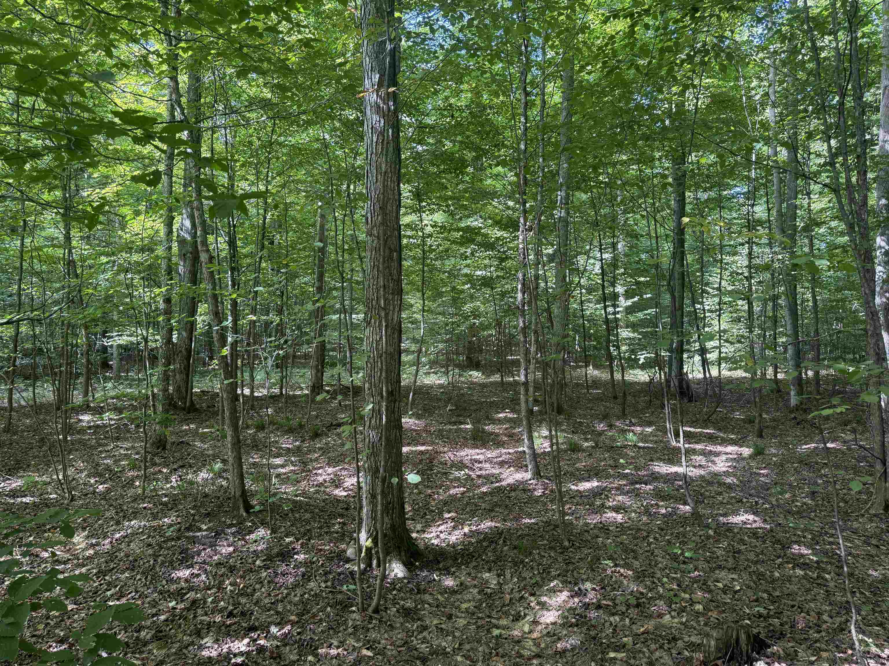 23rd image of 0000 S Honeybee Rd, Empire, MI 49621 | MLS# 80072818