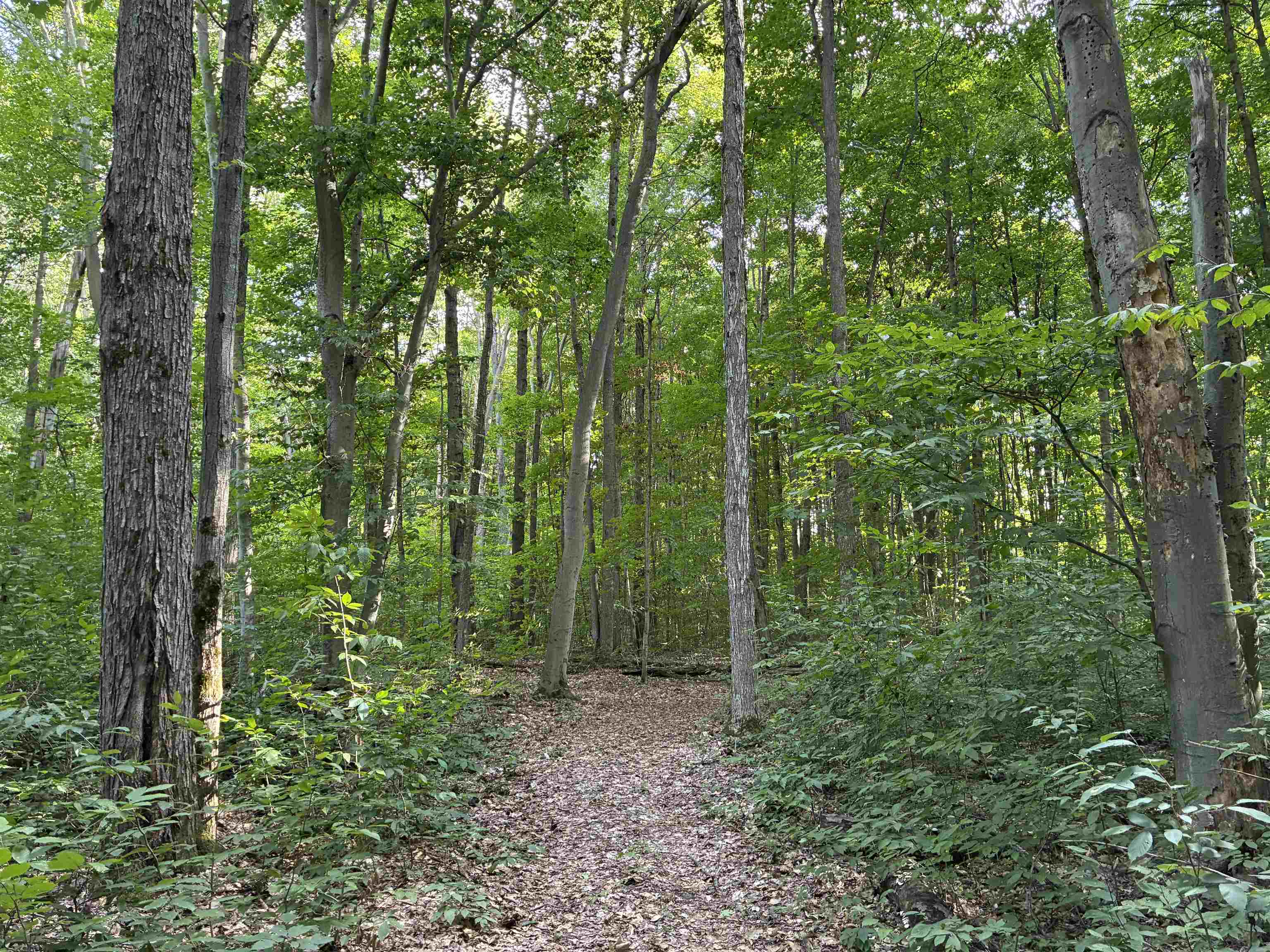 34th image of 18616 Emmettã¢â‚¬â„¢s Trl, Almira Township Benzie, MI 49650 | MLS# 78080072827