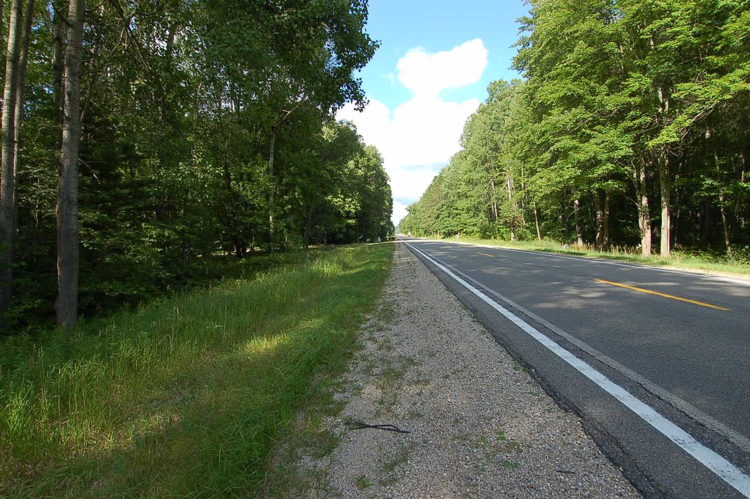 1st image of 6800 S M 37, Harrietta, MI 49638 | MLS# 80072882