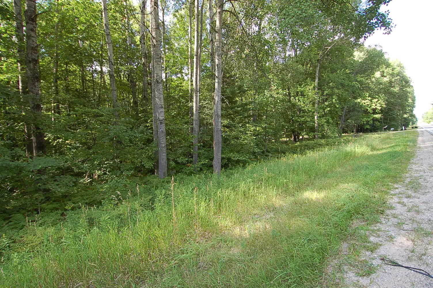 2nd image of 6800 S M 37, Harrietta, MI 49638 | MLS# 80072882