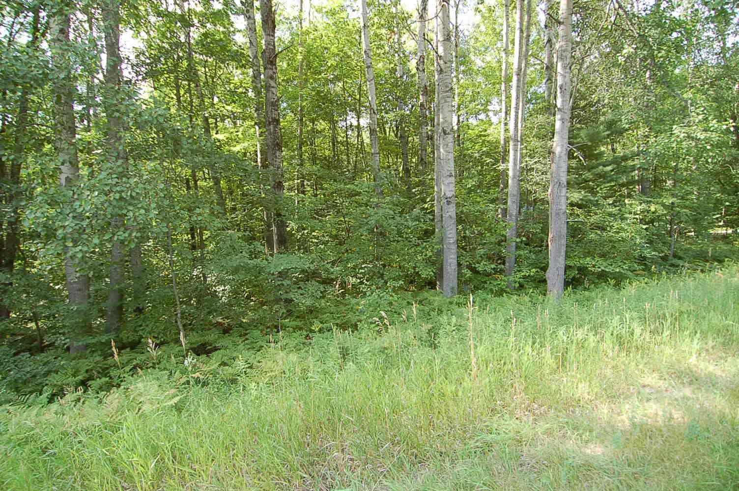3rd image of 6800 S M-37, Harrietta, MI 49638 | MLS# 80072882