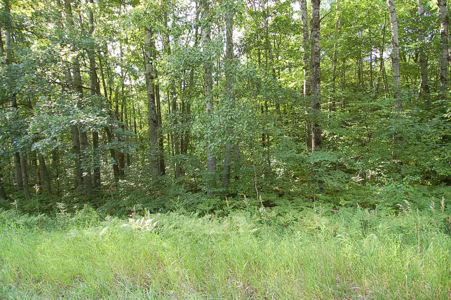 4th image of 6800 S M-37, Harrietta, MI 49638 | MLS# 80072882