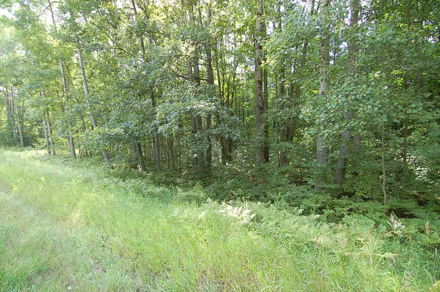 5th image of 6800 S M-37, Harrietta, MI 49638 | MLS# 80072882