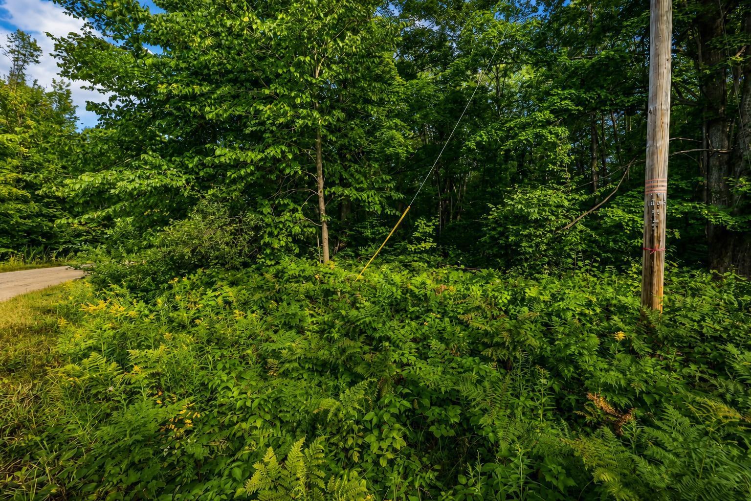 1st image of Tbd Timberline Dr, Elmira, MI 49615 | MLS# 80072886