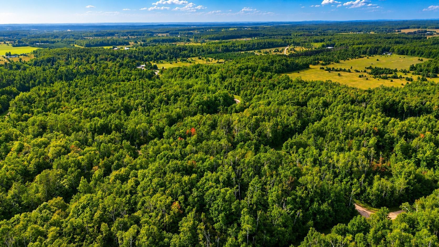 5th image of Tbd Timberline Dr, Star Township Antrim, MI 49615 | MLS# 79080072886