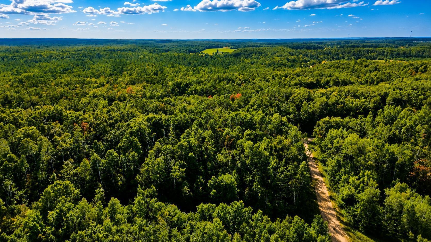 7th image of Tbd Timberline Dr, Elmira, MI 49615 | MLS# 80072886