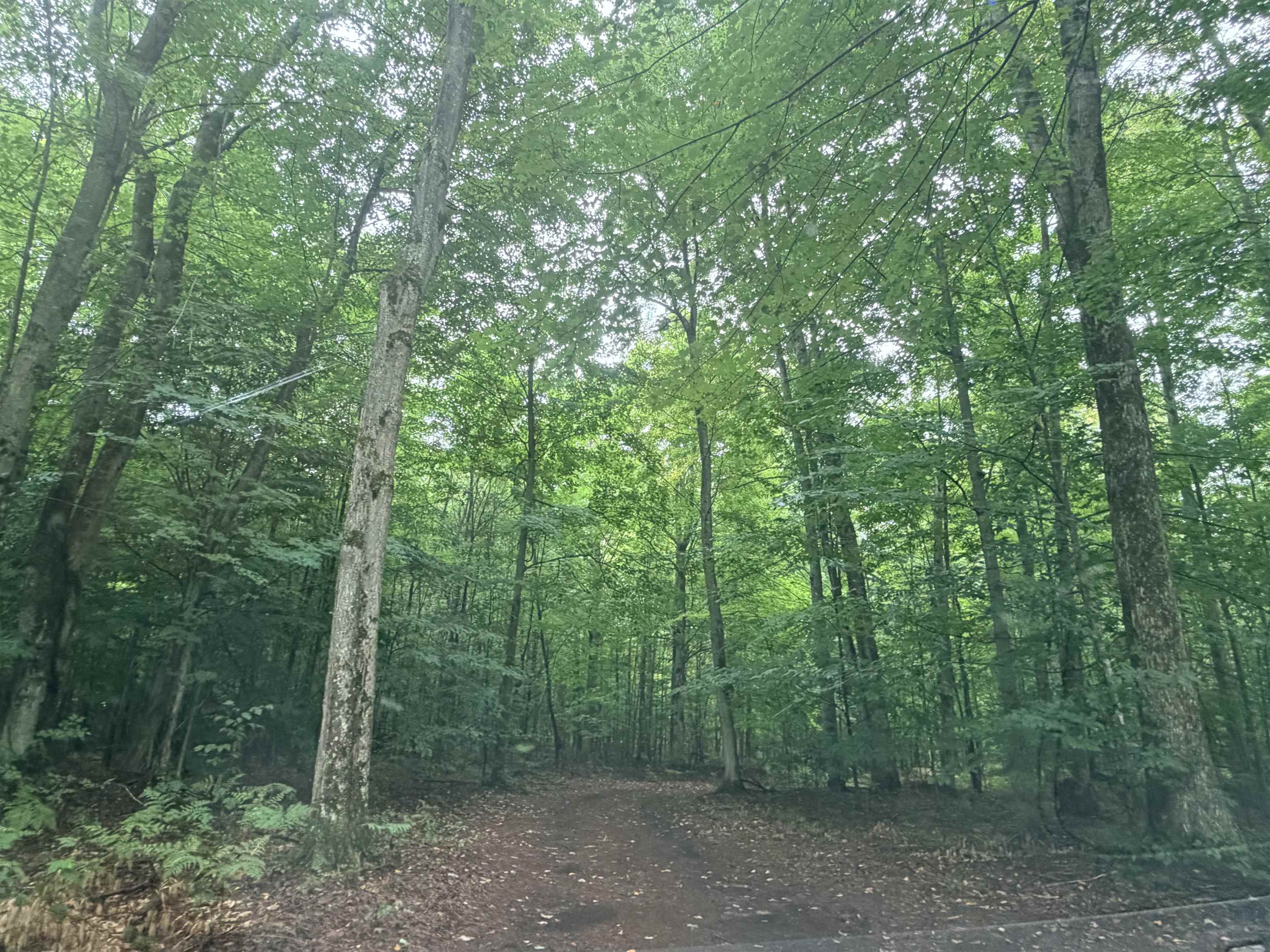 3rd image of Demerly Rd, Benzonia, MI 49616 | MLS# 80072891