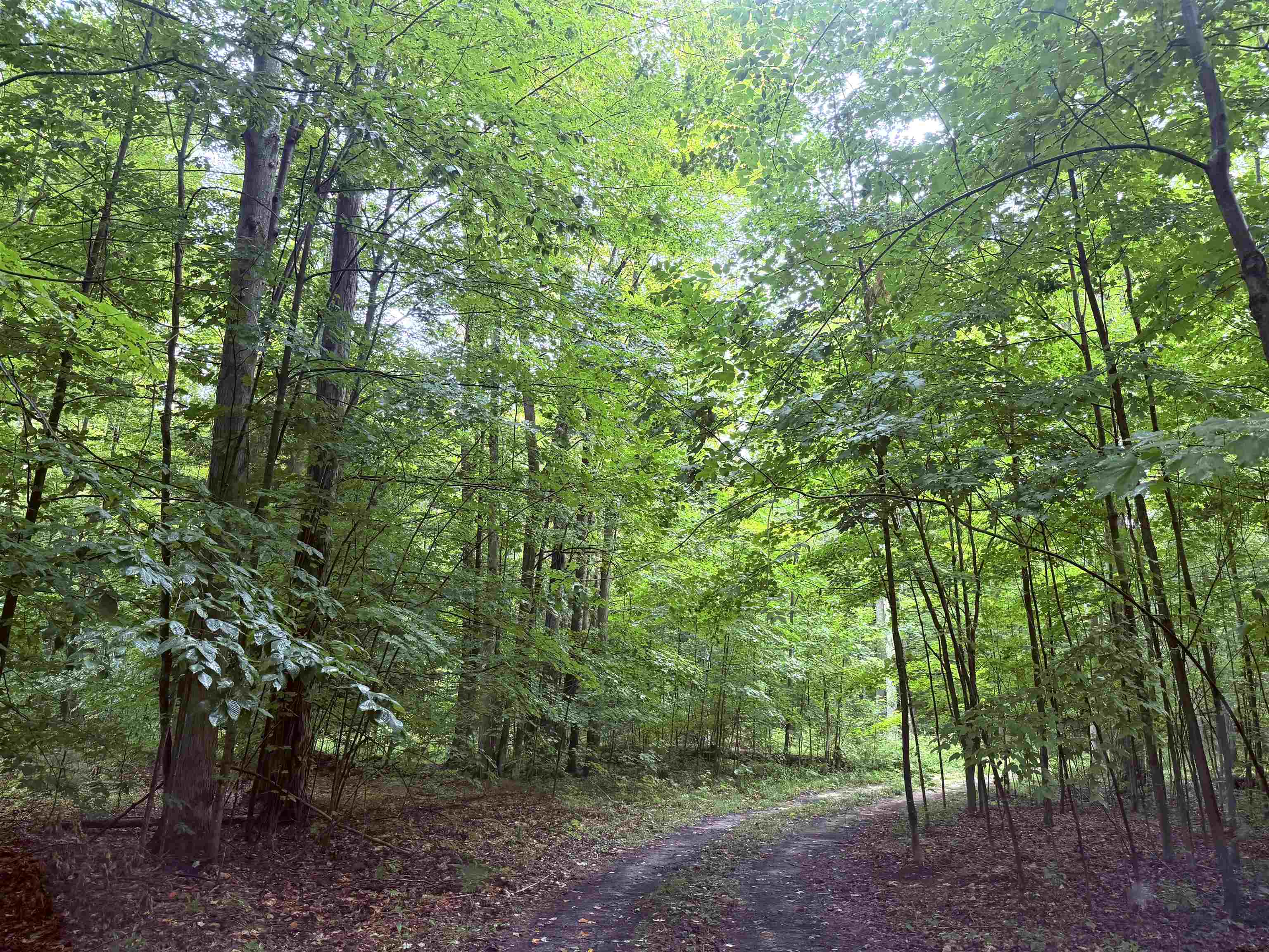 5th image of Demerly Rd, Joyfield Township Benzie, MI 49616 | MLS# 78080072891