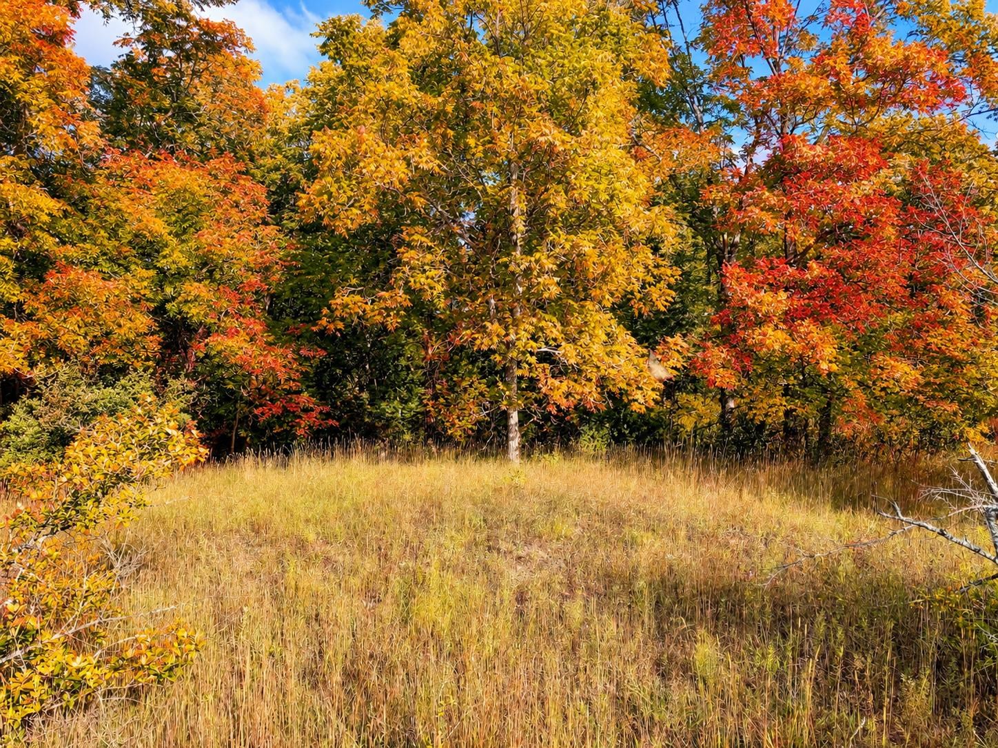 Photo 3 of Land for sale at Parcel 1 E Darga Rd, Kasson Township Leelanau, MI 49621 | MLS# 78080072923 | Listing updated on 2026-10-04