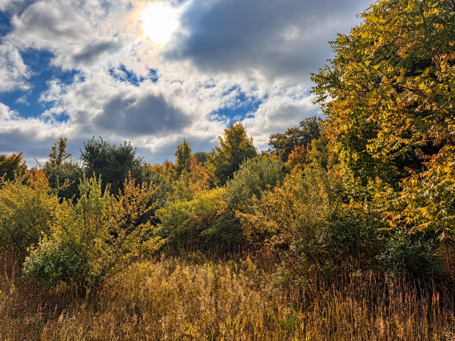 Photo 2 of Land for sale at Parcel 4 E Darga Rd, Kasson Township Leelanau, MI 49621 | MLS# 78080072924 | Listing updated on 2026-10-04