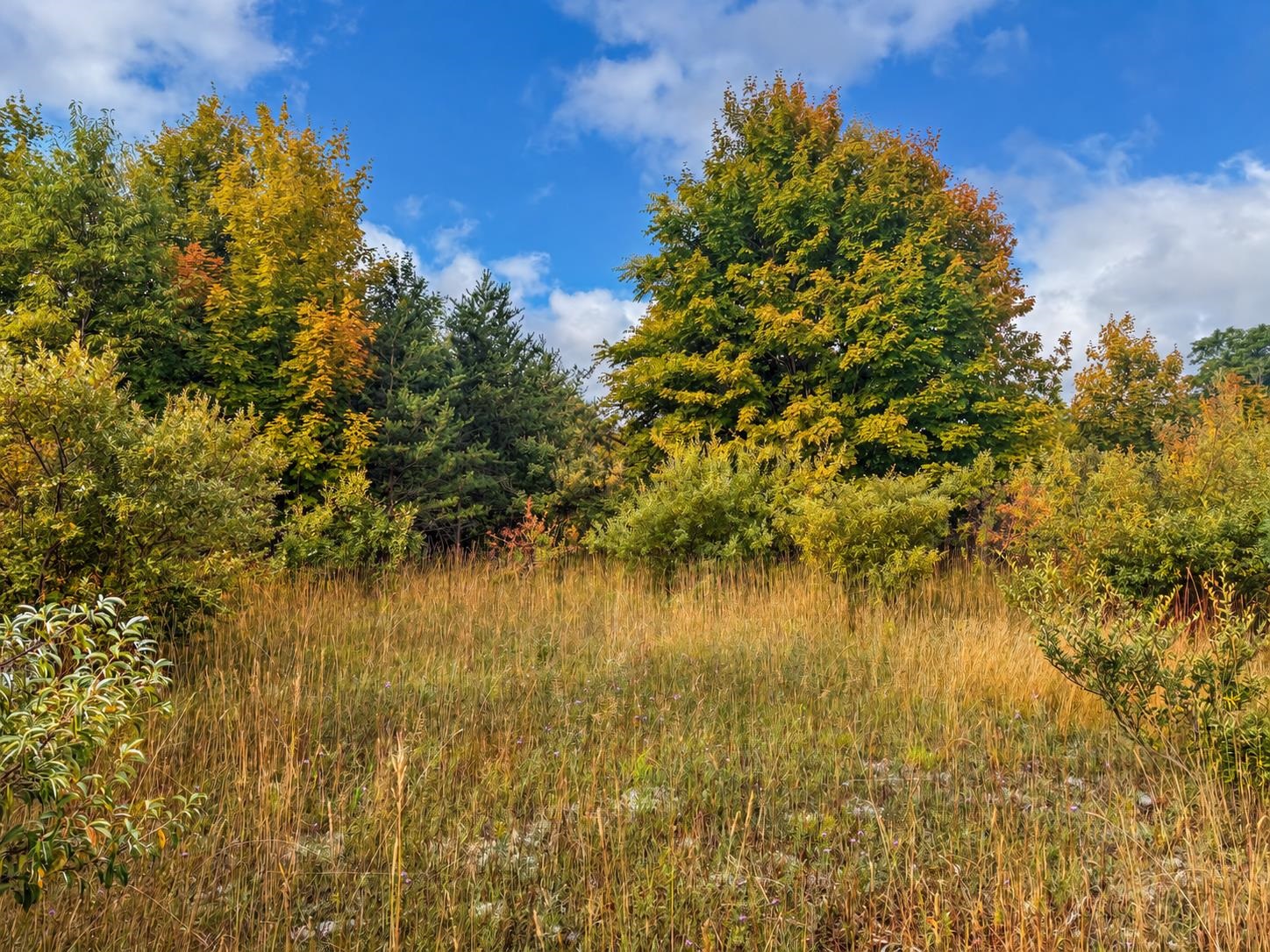 Photo 3 of Land for sale at Parcel 4 E Darga Rd, Kasson Township Leelanau, MI 49621 | MLS# 78080072924 | Listing updated on 2026-10-04