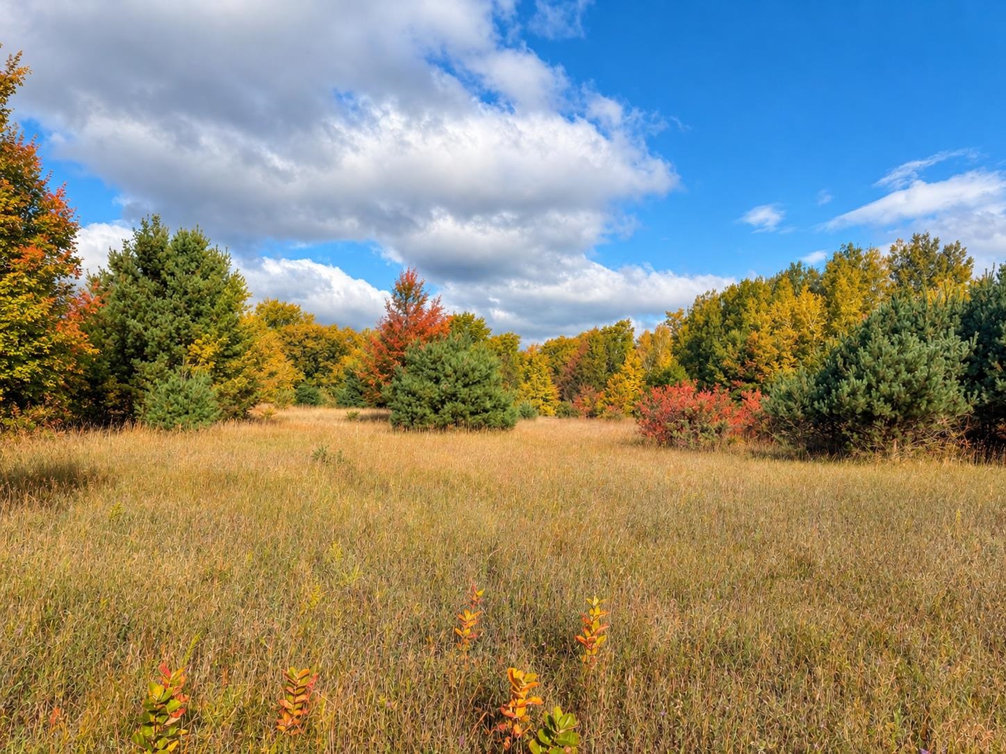 Photo 3 of Land for sale at Parcel 2 E Darga Rd, Kasson Township Leelanau, MI 49621 | MLS# 78080072925 | Listing updated on 2026-10-04