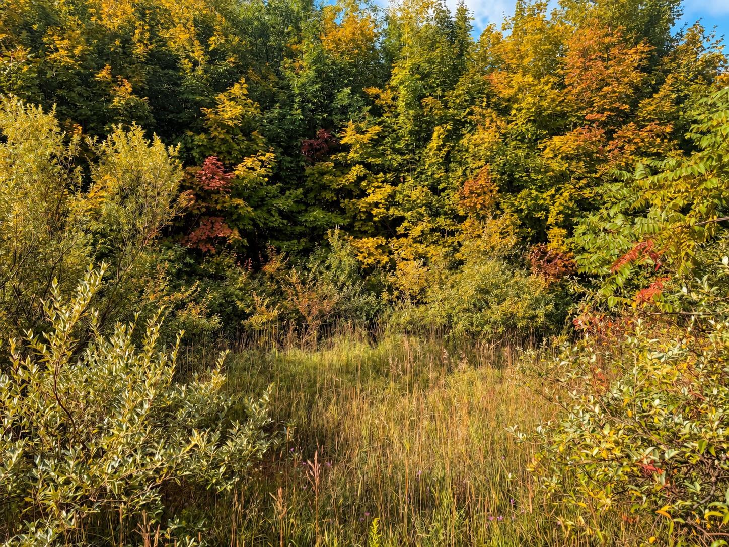Photo 3 of Land for sale at Parcel 3 E Darga Rd, Kasson Township Leelanau, MI 49621 | MLS# 78080072930 | Listing updated on 2026-10-04