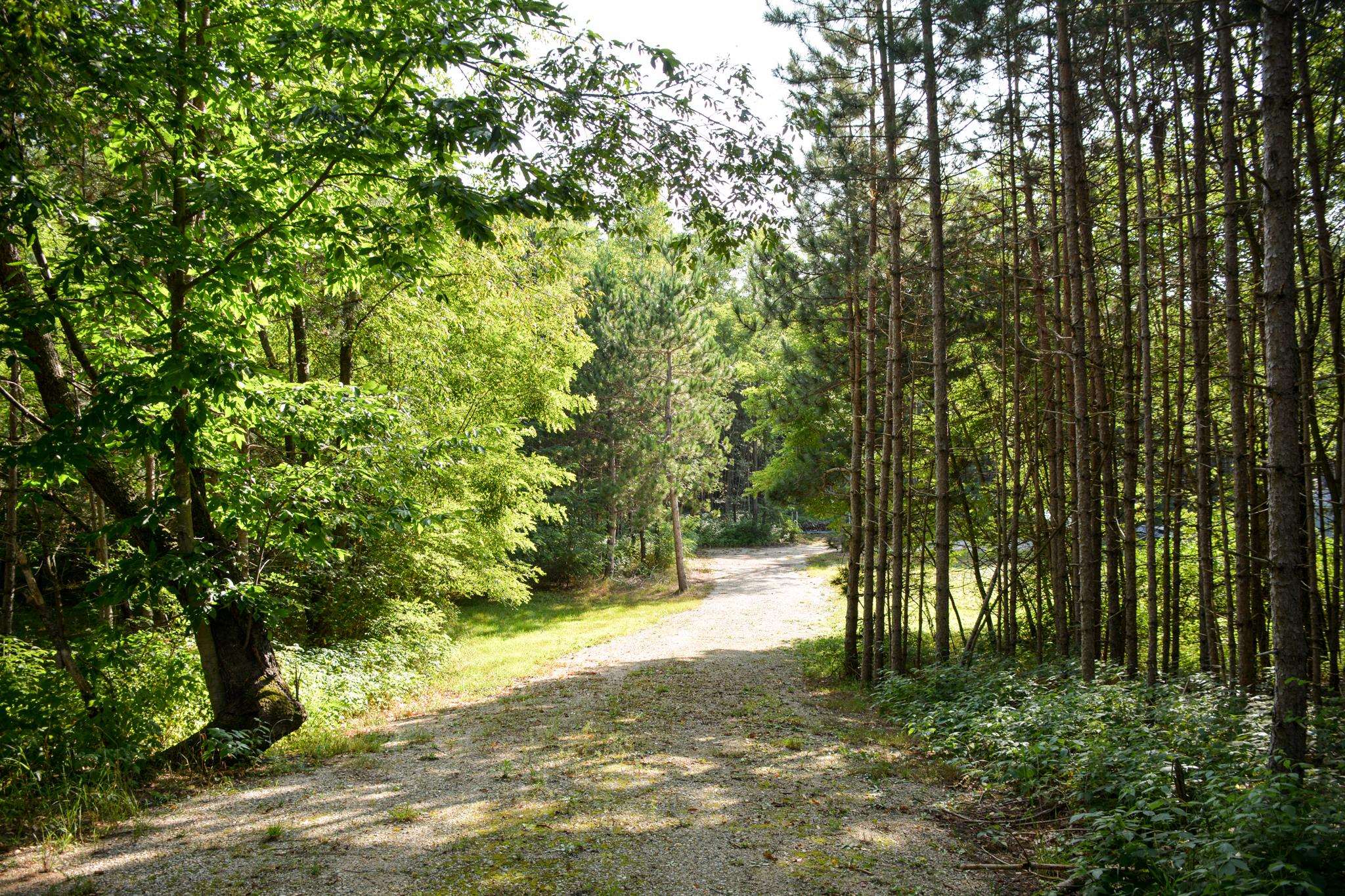 3rd image of 11241 Marilla Rd, Copemish, MI 49625 | MLS# 80072931