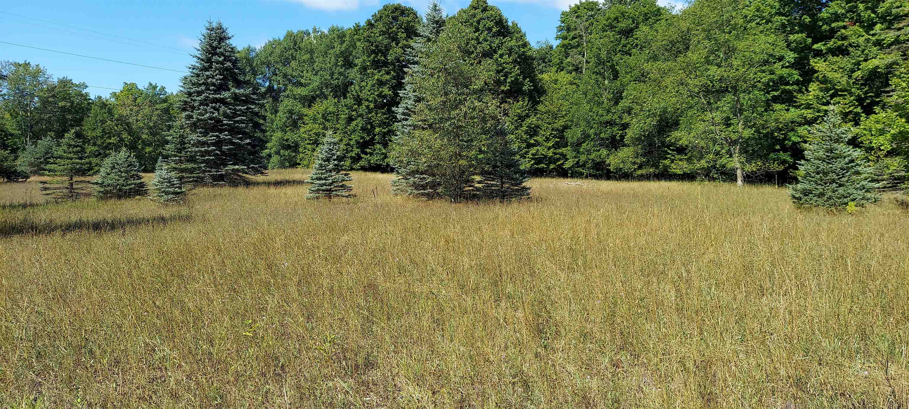 Land for sale at 3623 Db Trl, Bellaire, MI 49615 | MLS# 80072961