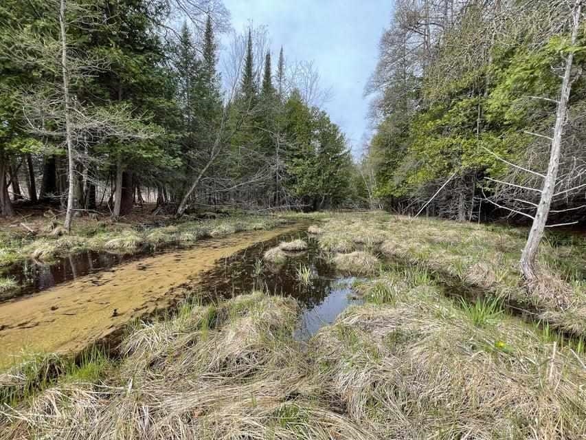 Photo 2 of Land for sale at Tbd Cody Ln, Kalkaska, MI 49646 | MLS# 80073053 | Listing updated on 2026-09-18